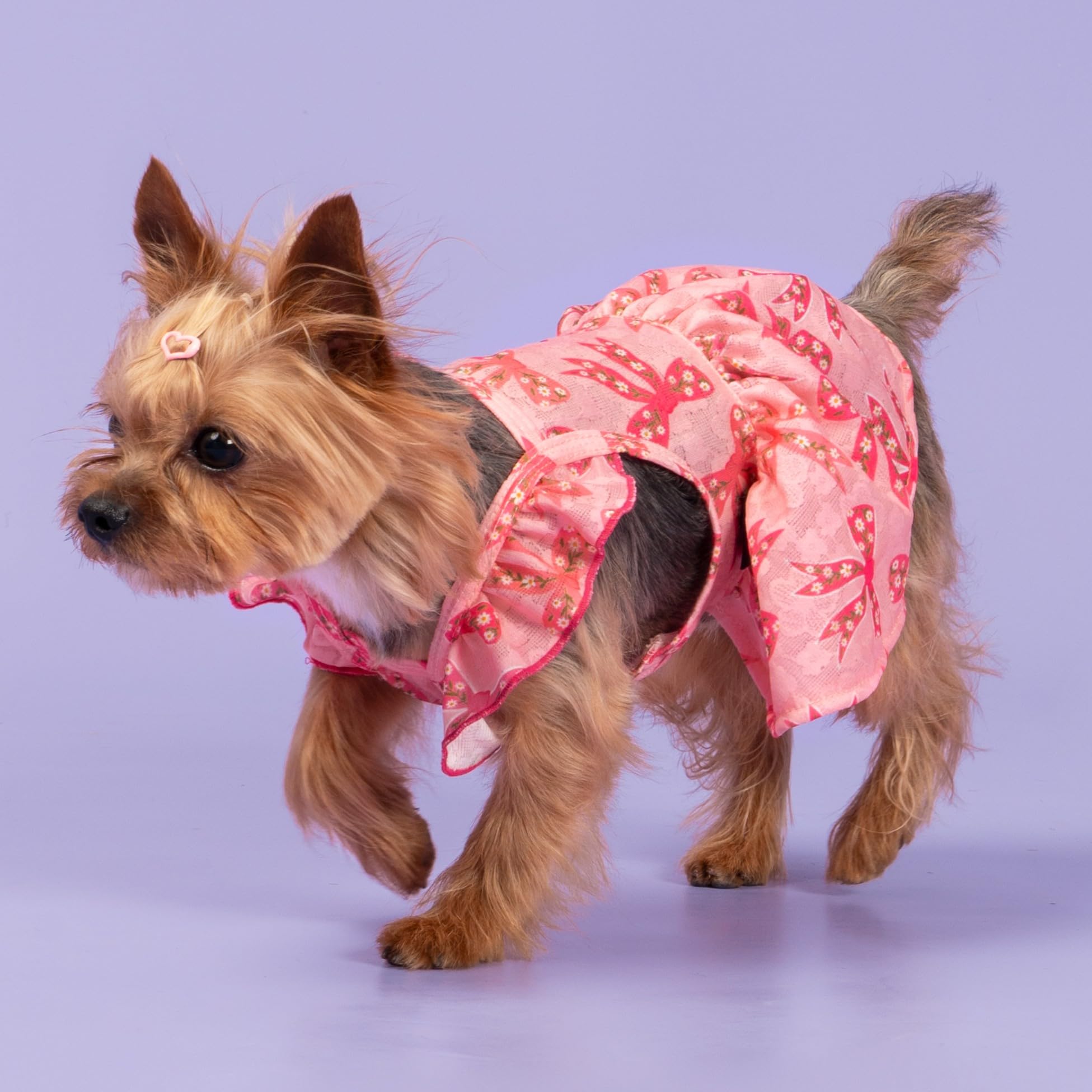 Fitwarm Ruffle Sleeves Bowknot Dog Dress, Birthday Clothes For Small Dogs Girl, Pet Outfit, Pink, Medium