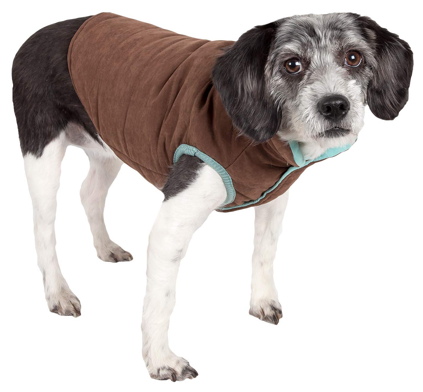 TOUCHDOG 'Waggin Swag' Fashion Designer Reversible 3M Insulated Pet Dog Coat Jacket, Medium, Blue / Brown