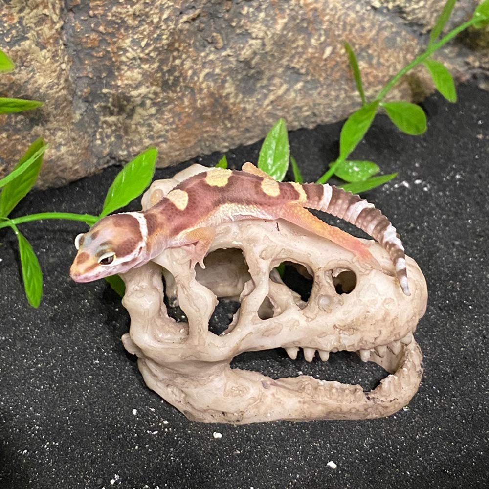 Mtghyare Dinosaur Aquarium Decorations Skull Aquarium Ornament Mini Dinosaur Mold Decoration Tank Reptile Hide Decor With Holes