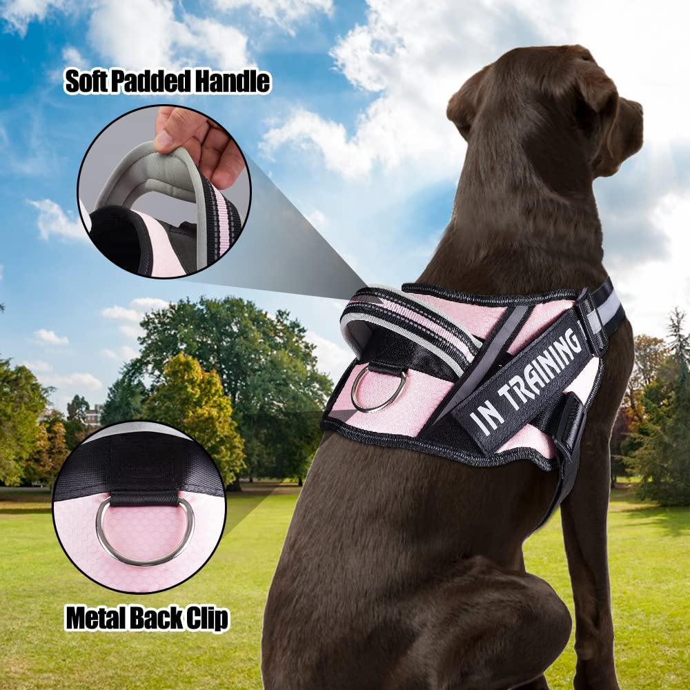 Service Dog Vest Harness And Leash Set, Animire In Training Harness With 8 Dog Patches, Reflective Leash With Soft Padded Handle For Small, Medium, Large, And Extra-Large Dogs(Pink,L)