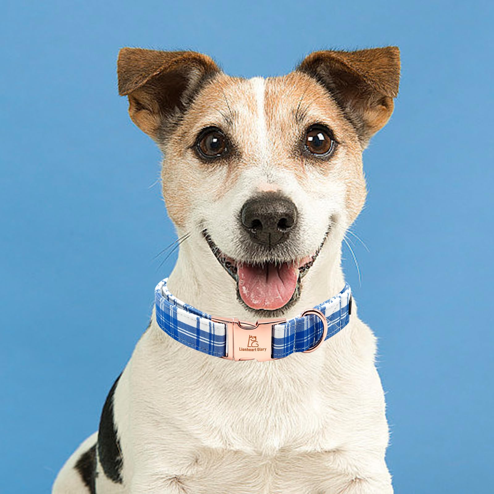 Lionheart Glory Dog Collar, Boy Dog Collars Blue Plaid Adjustable Heavy Duty Dog Collar Cute Pet Gift Dog Collar For Medium Summ