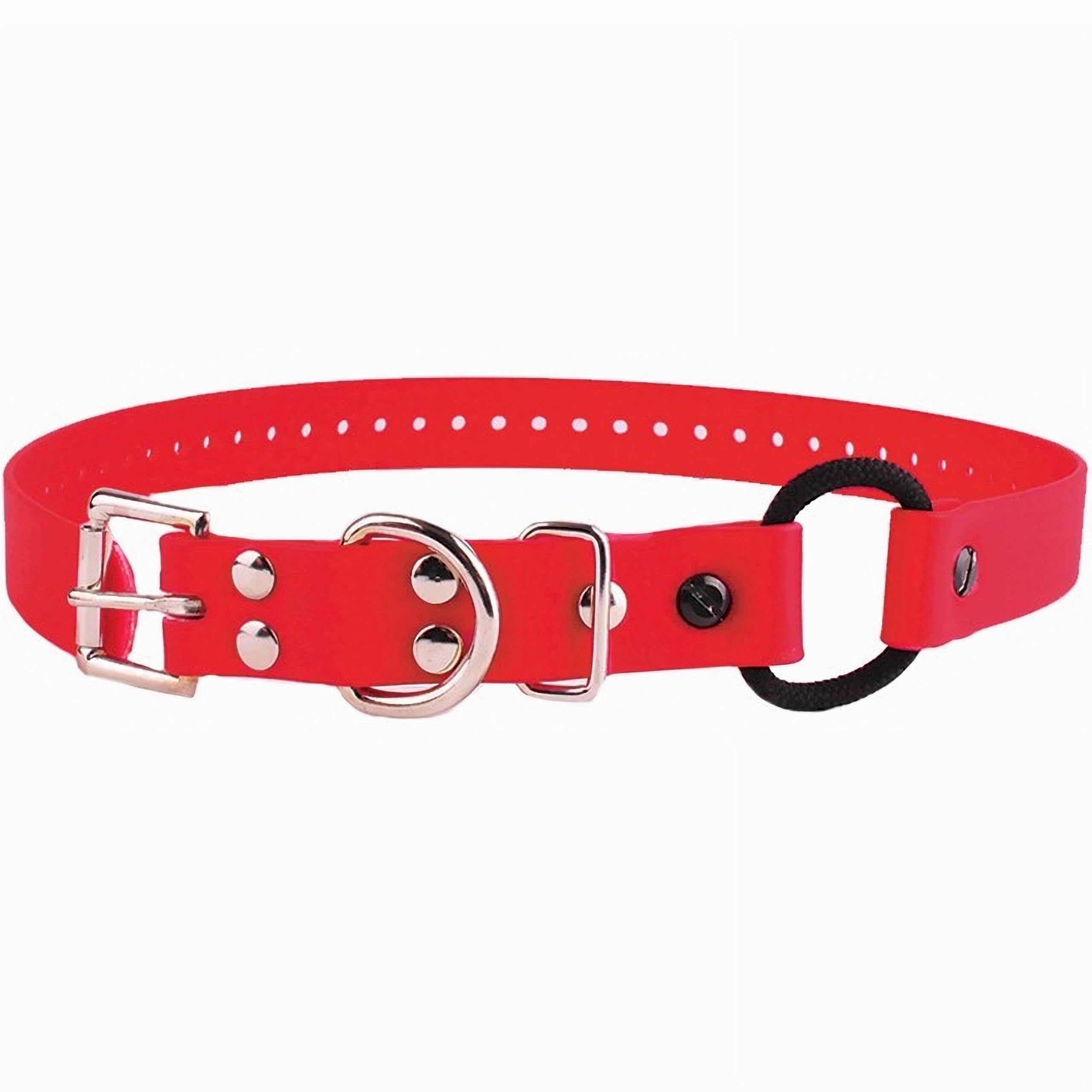 Educator Bungee Dog Collar, Biothane, Waterproof, Odorproof, Metal Buckle And D Ring With Comfort Bungee Loop Adjustable For Custom Fit, 3/4-Inch, Red