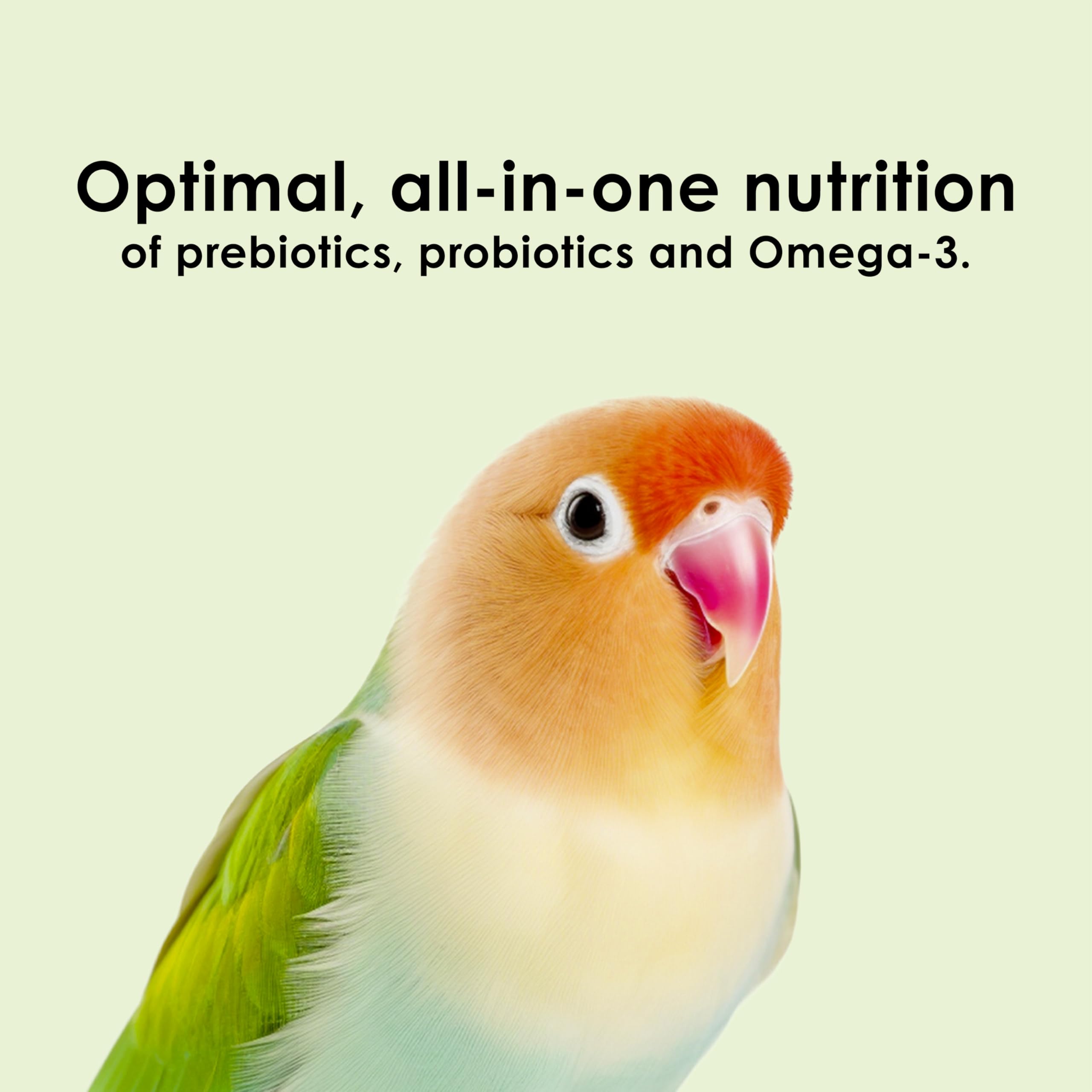 Kaytee NutriSoft Conure and Parrot Food - 3 lb