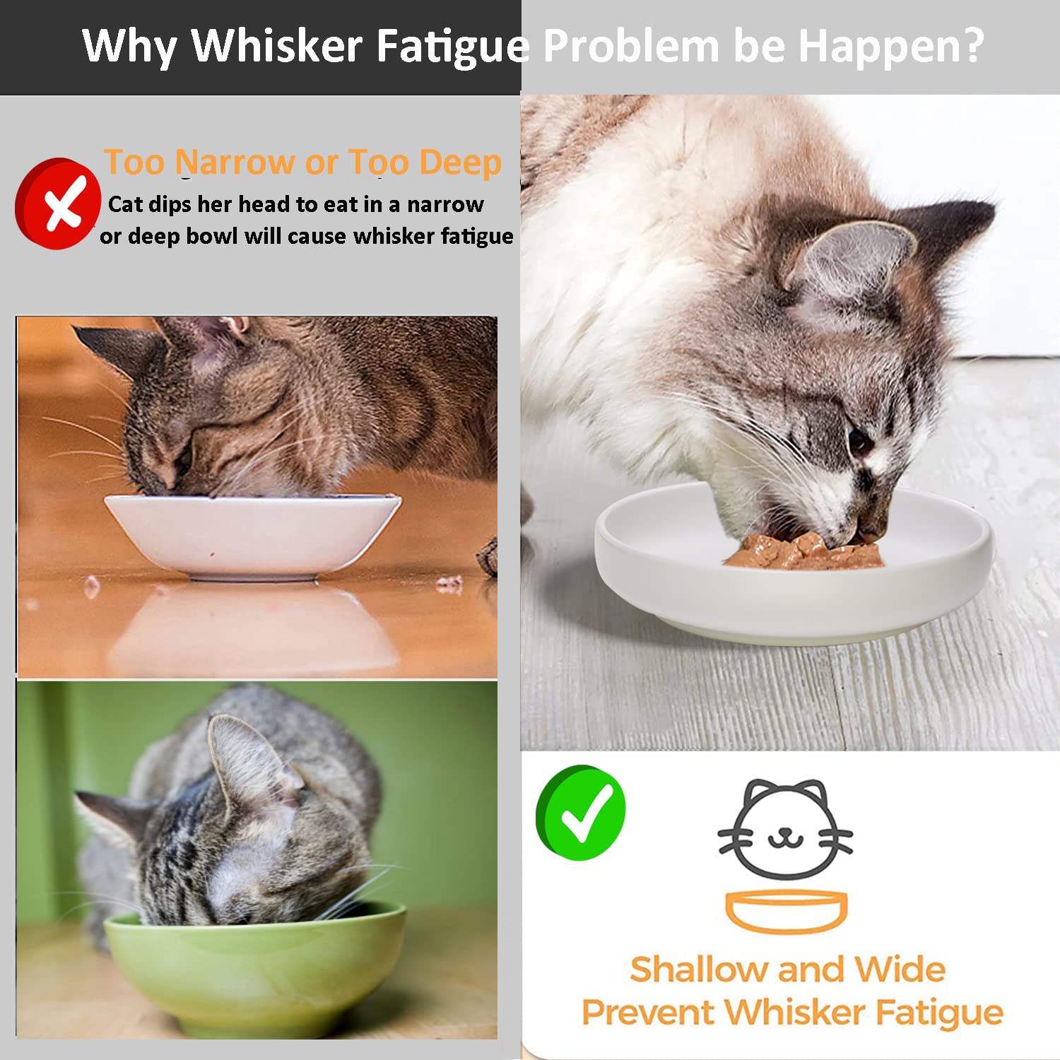 Lfpkixise Ceramic Cat Bowls Set of 3 - 6.1" Matte Finish, Whisker Fatigue Free, Dishwasher Safe, White Color
