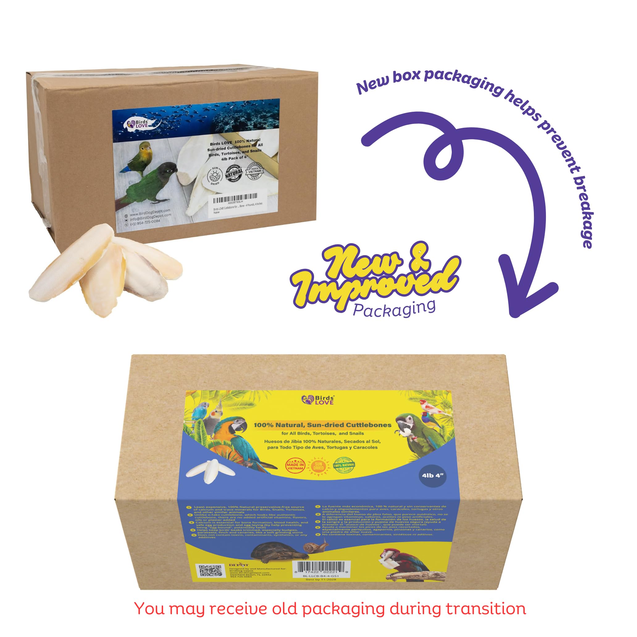 Birds LOVE Natural Cuttlebone - Premium Calcium for Cockatiel, Parrots, Tortoise, Snails, Crabs and Chinchillas - Pure Cuttlebon