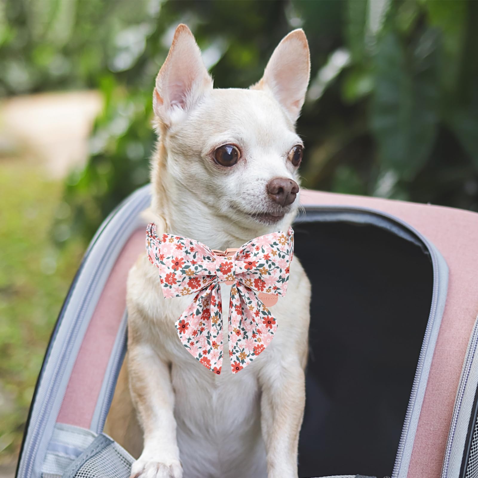 Dog Collar With Bow Tie,Up Urara Pup Flower Bowtie Dog Collar, Summer Bowtie Collar For Puppy Boy Girl Dog, Comfortable Cotton D