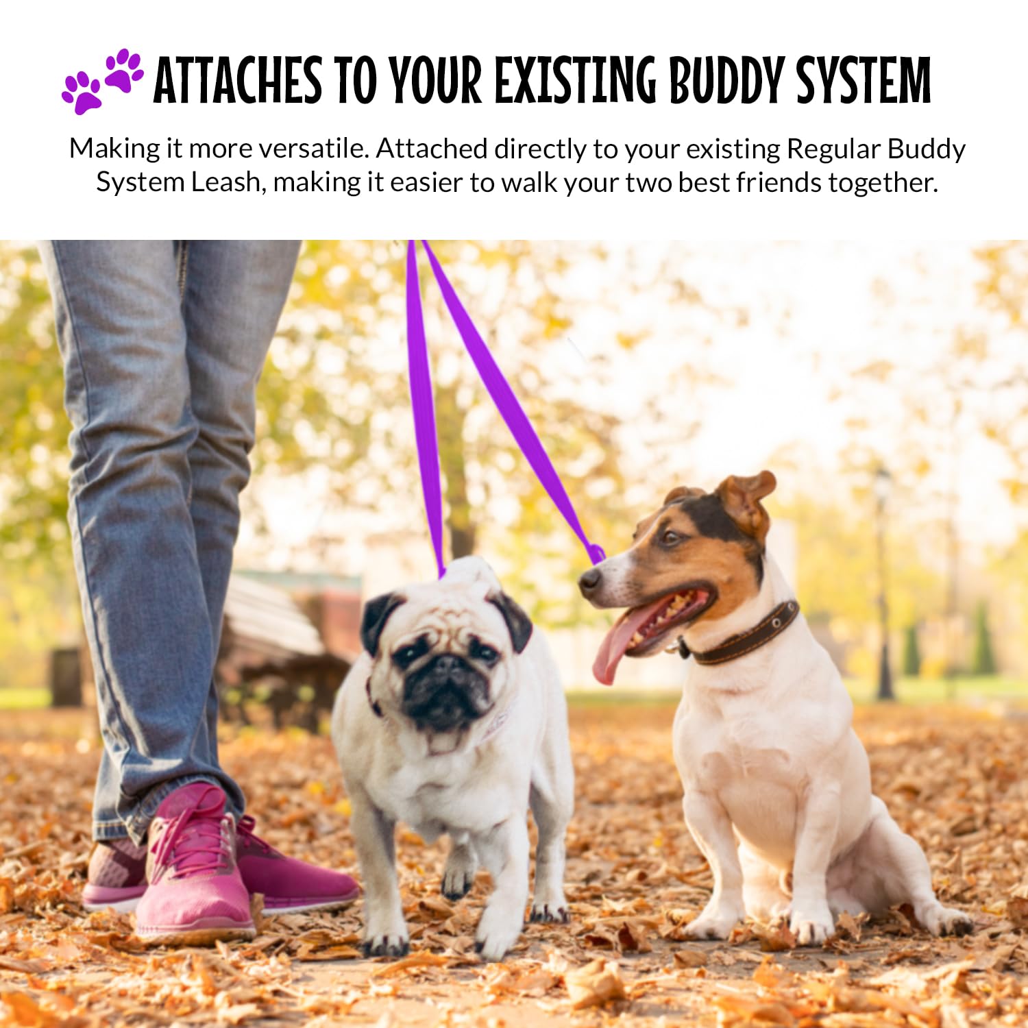 The Buddy System Double Buddy Small Purple