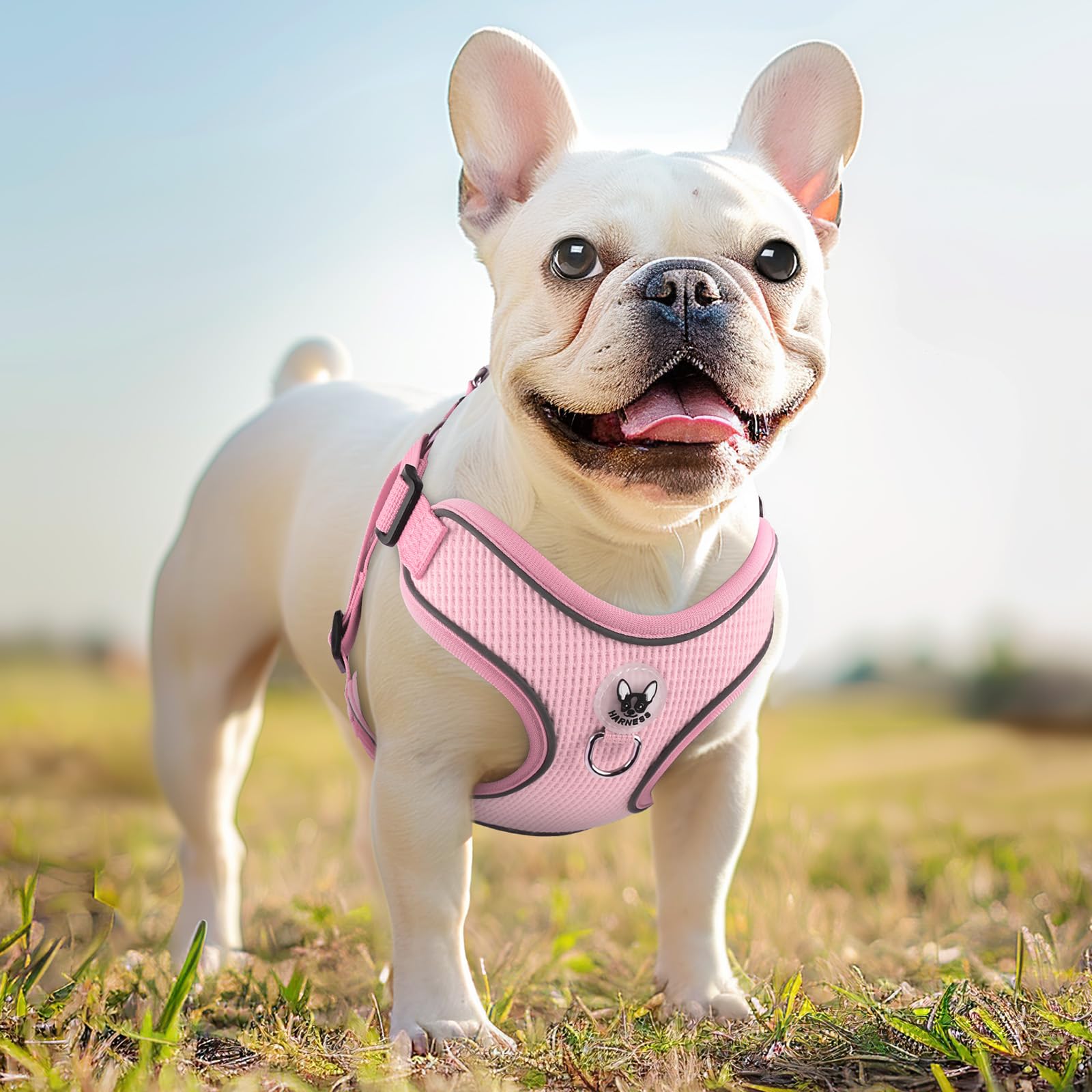 Dog Harness And Leash Set,4 Point Adjustable Reflective Dog Vest Harness,No Pull Harness-Leash For Small Medium Large Sized Dogs