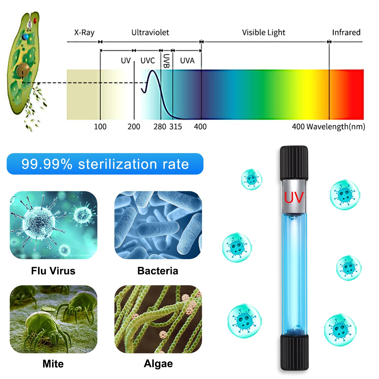 Taishan Aquarium Clean Light - 3W To 13W Algae Removal With Timer, Waterproof For Fish Tank, Pond, Swimming Pool