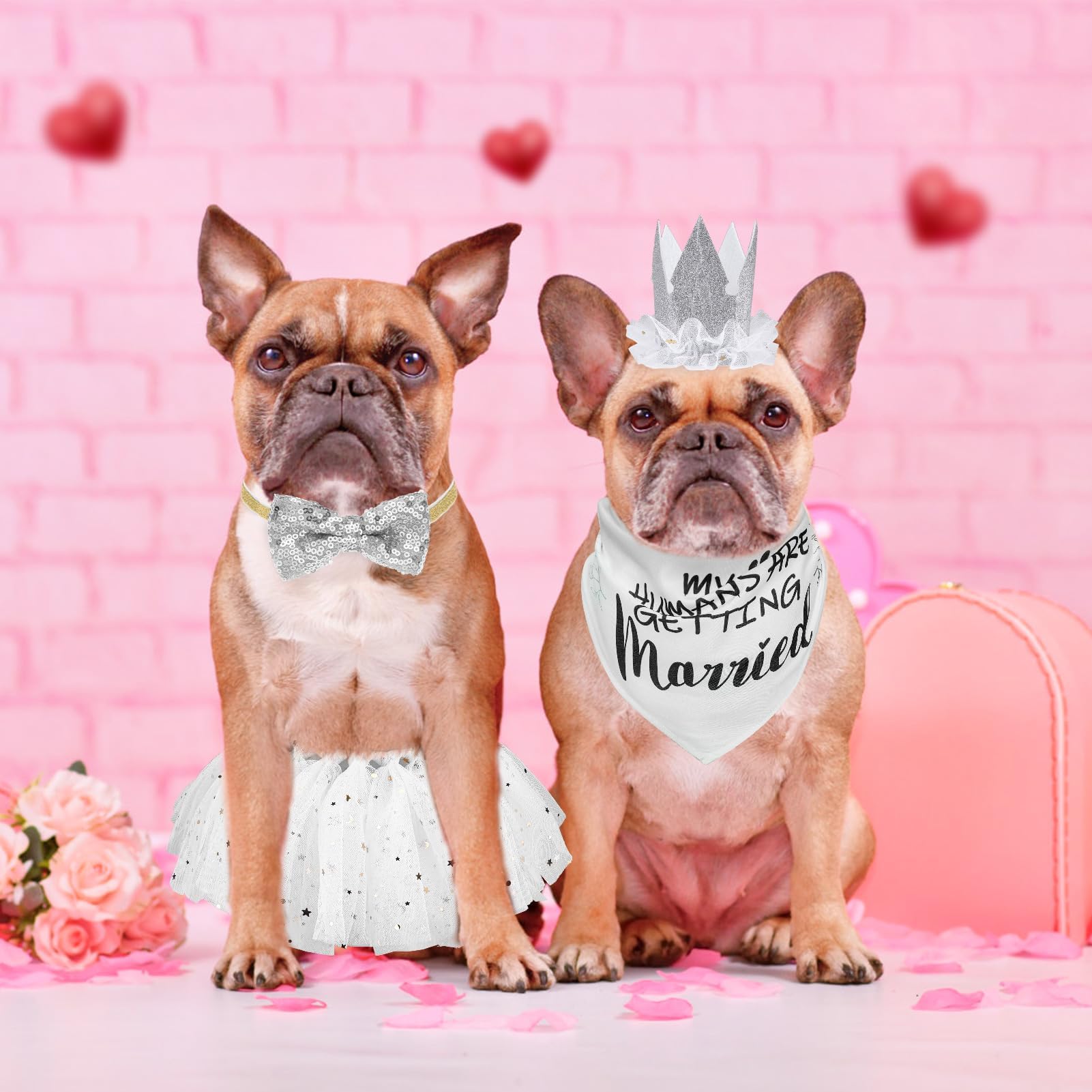 SCENEREAL Dog Wedding Outfit Dress with Bandana Bowite Collar and Crown Hat Set for Dog Girls, Puppy Kitty Party Supplies, Tutu