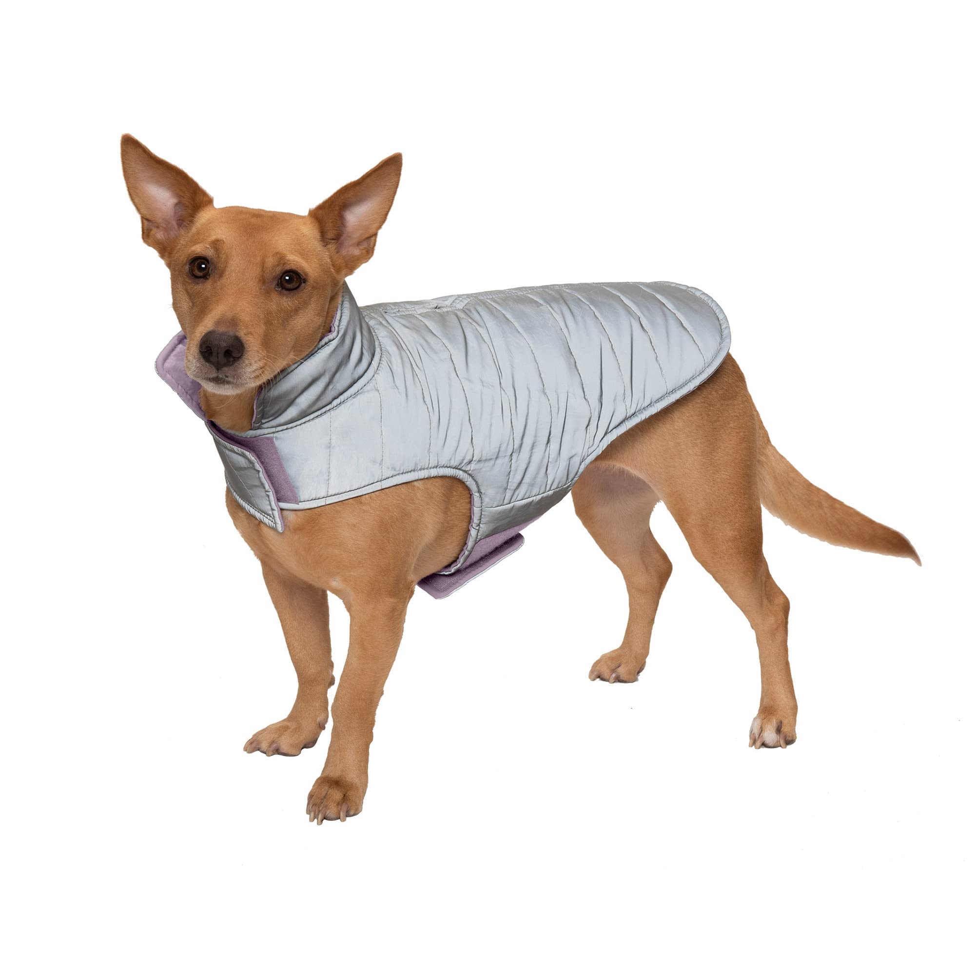 Furhaven Water-Repellent & Reversible Small Dog Coat, Washable & Reflective w/ Leash Access, Pocket, & Carry-On Purse - Puffer D