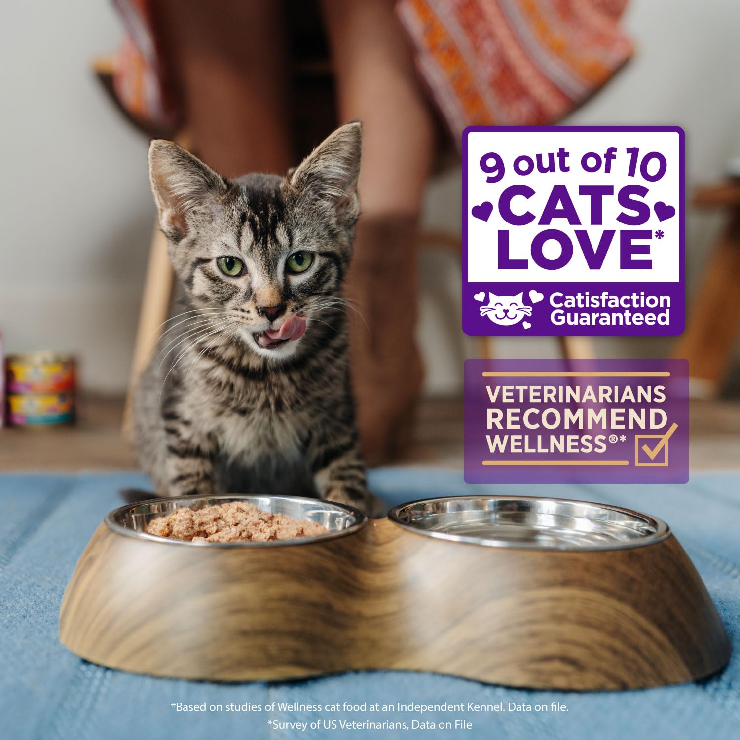Wellness Pet Products Cat - Can - Turkey - Chicken - Signature Selects - Case of 12 - 2.8 oz (12x2.8 OZ)