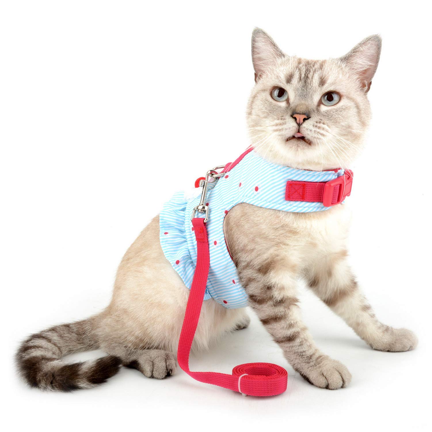 Zunea No Pull Small Dog Girl Harness Dress Escape Proof Cat Kitten Vest Harness Leash Set Step-in Soft Cotton Padded Striped and
