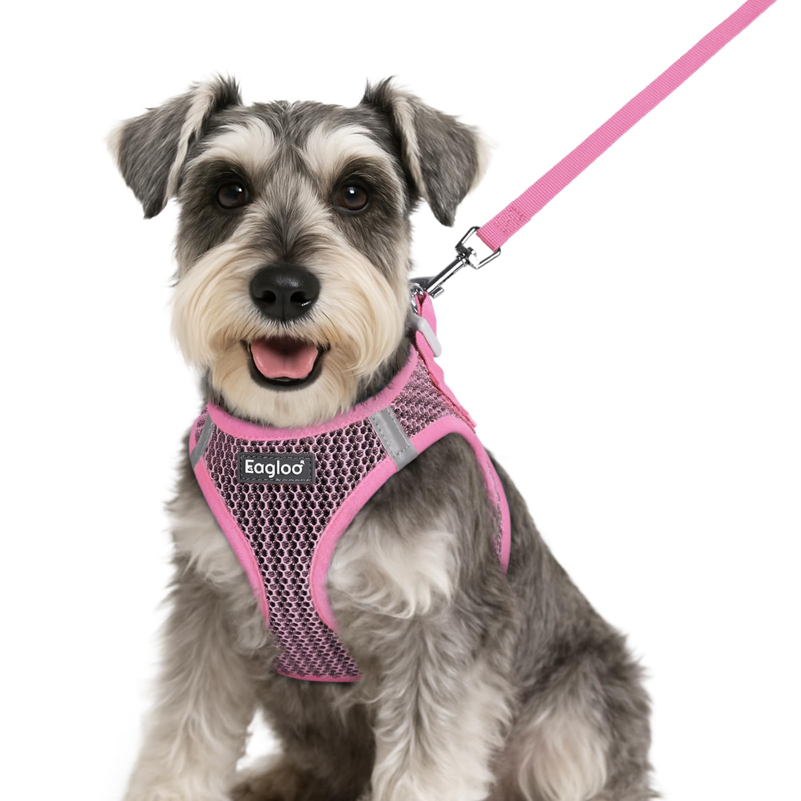 Eagloo Small Dog Harness and Leash Set, Step in Puppy Vest with Breathable Soft Mesh, Walking Reflective Pet Harness for Small D