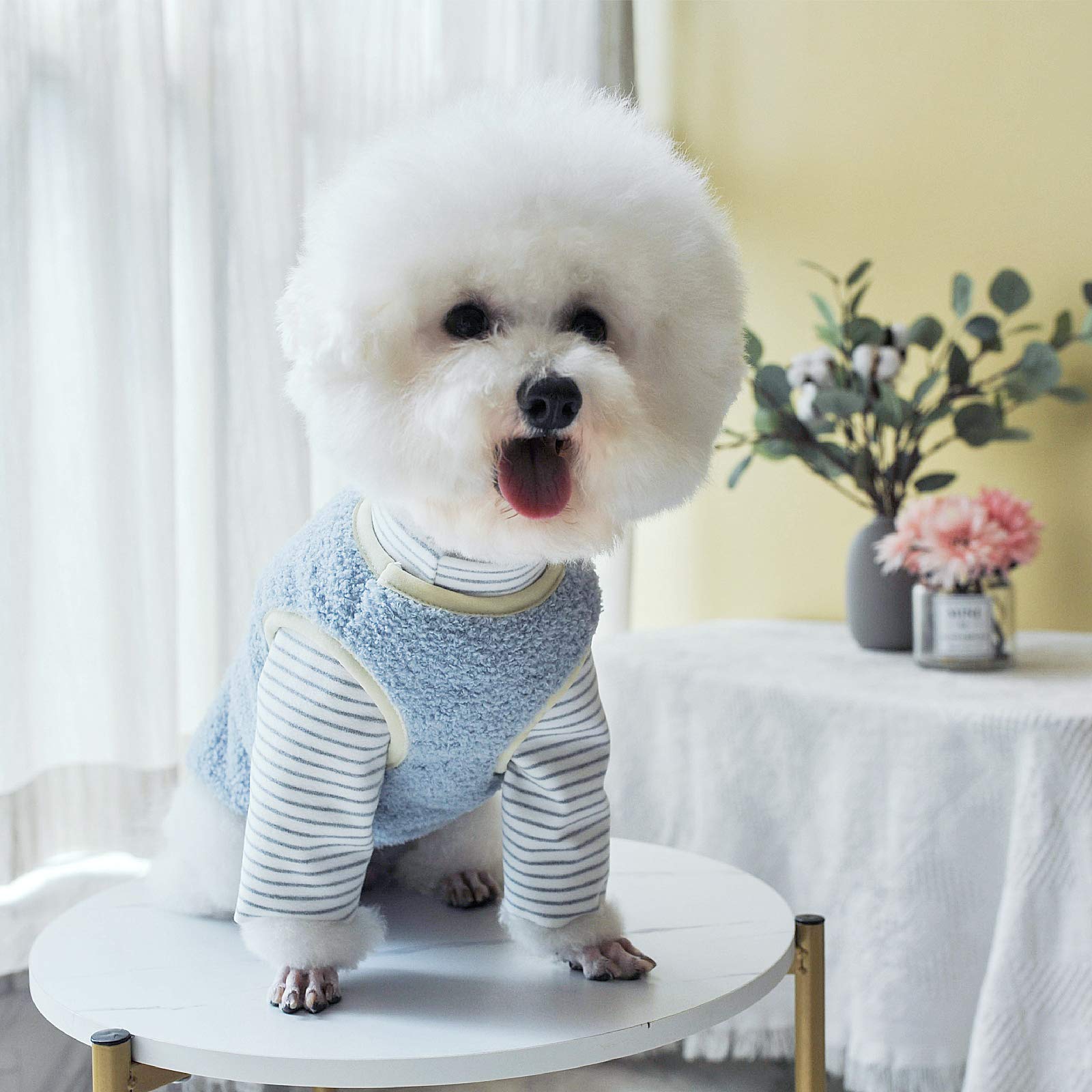 Loyanyy Warm Plush Dog Vest For Winter Soft Fleece Lining Sweater For Small Dog Cat Cute Puppy Kitten Clothes Blue 12