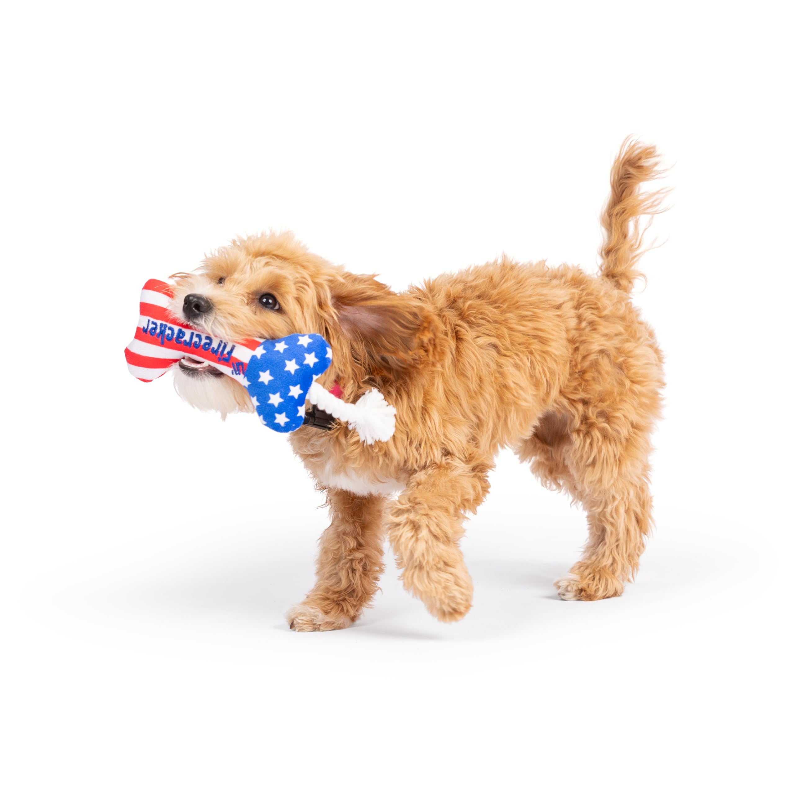 Huxley & Kent H&K Dog Tiny Tuff Lil' Firecracker Bone