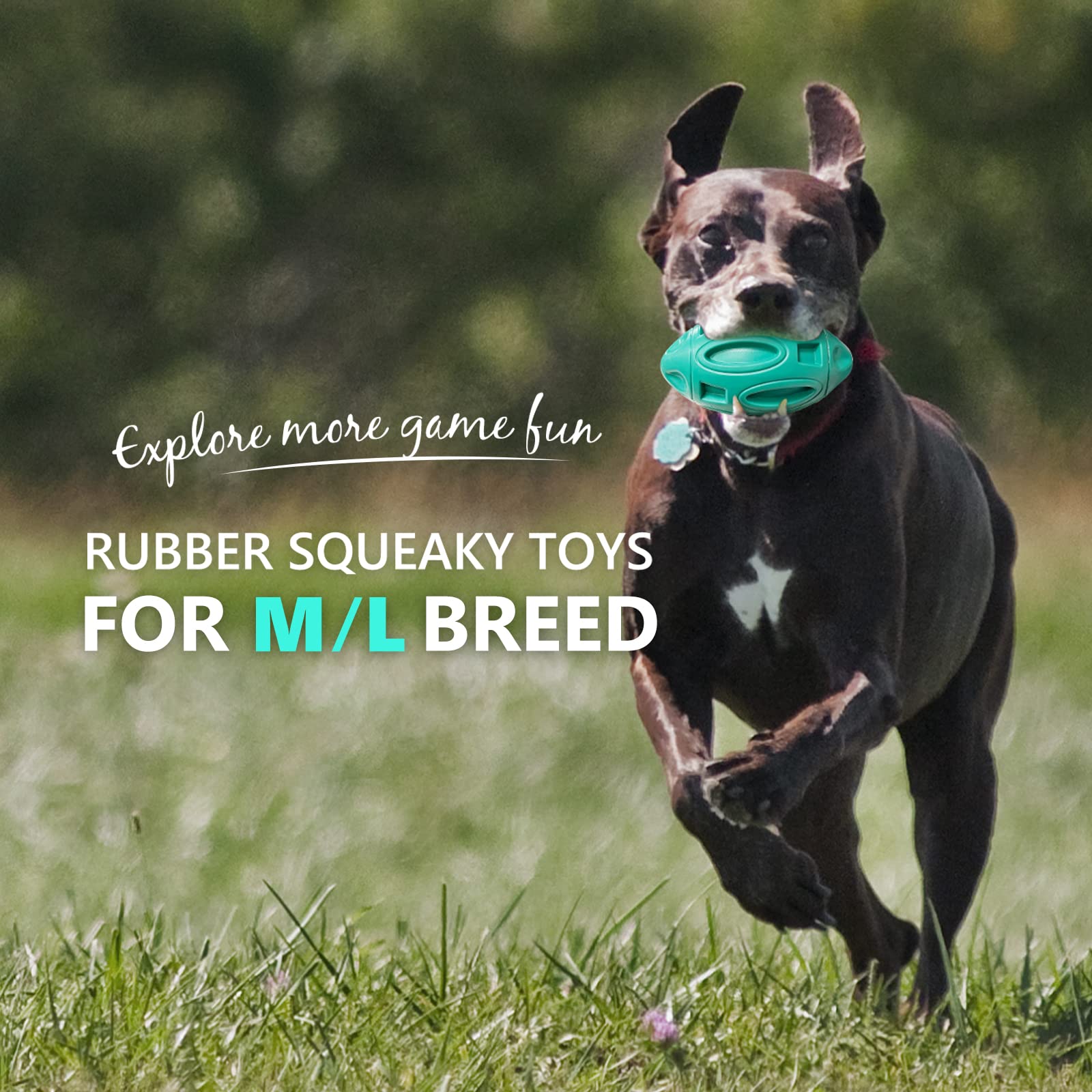 Eastblue Squeaky Dog Toys For Aggressive Chewers: Rubber Interactive Puppy Ball With Squeaker,Almost Indestructible Tough Durabl