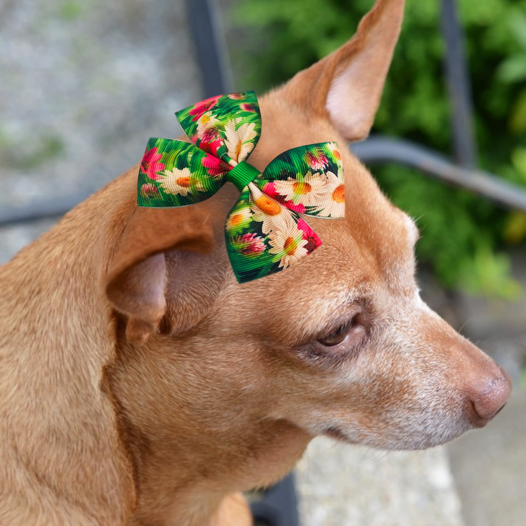 Jpgdn 24Pcs/12 Pairs 4'' Big Dog Hair Bows For Large Dogs Floral Bowknot Topknot Girl Pink Grooming Hair Accessories