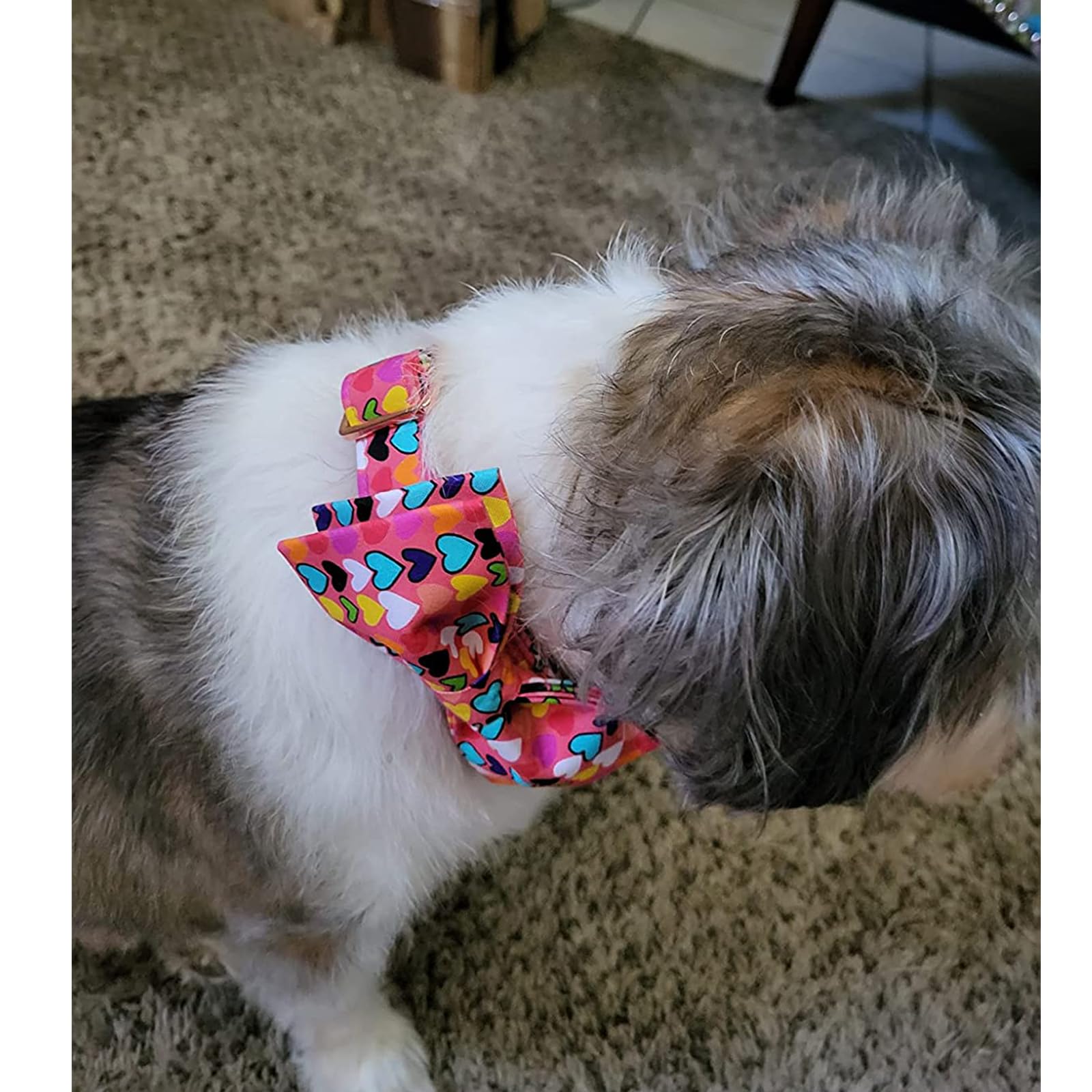 Lionheart Glory Valentine'S Adjustable Dog Collar With Bow For Medium Dogs