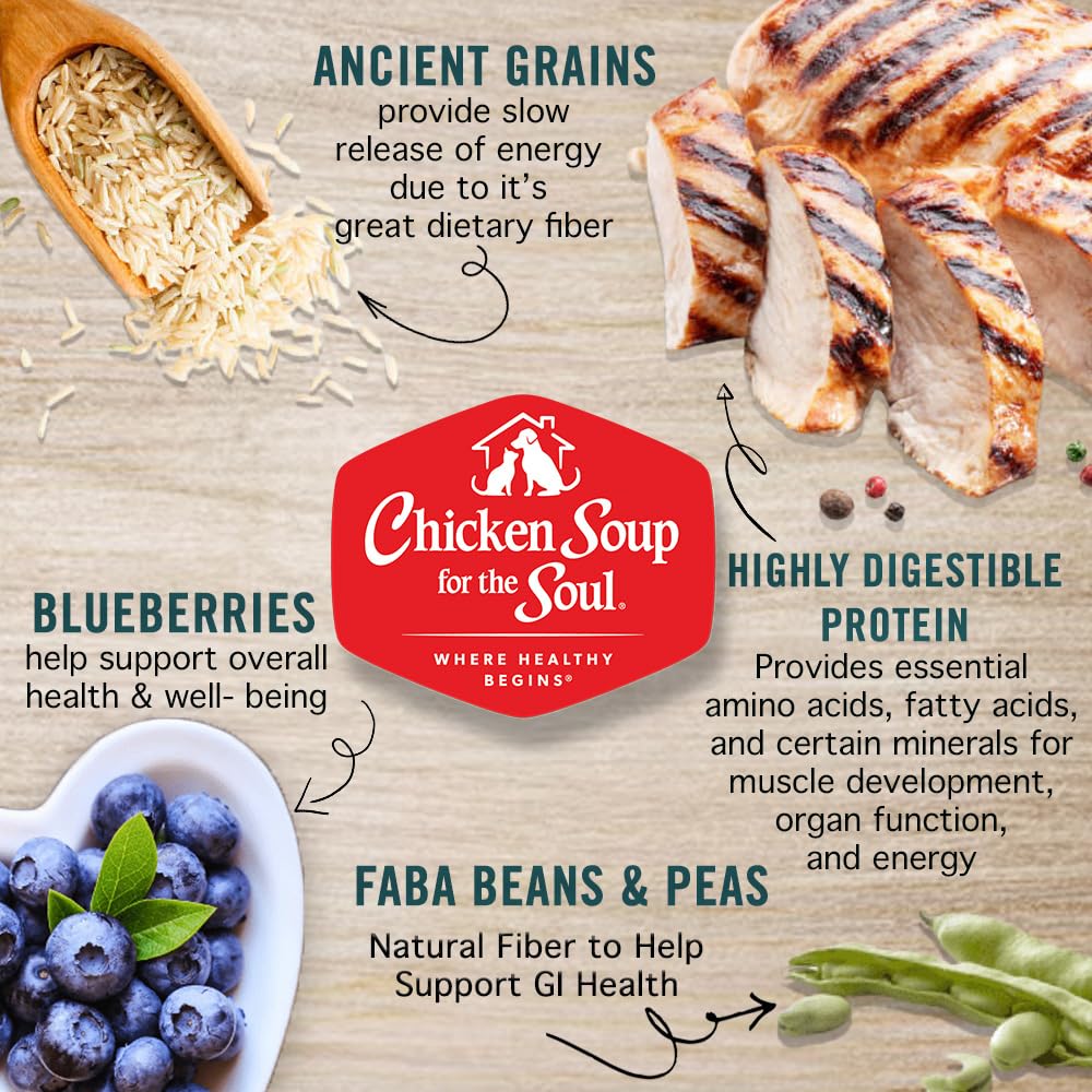 Chicken Soup for The Soul All Natural Premium Dry Puppy Food, Real Meat First Ingredient, No by-Products, Supports Brain Develop