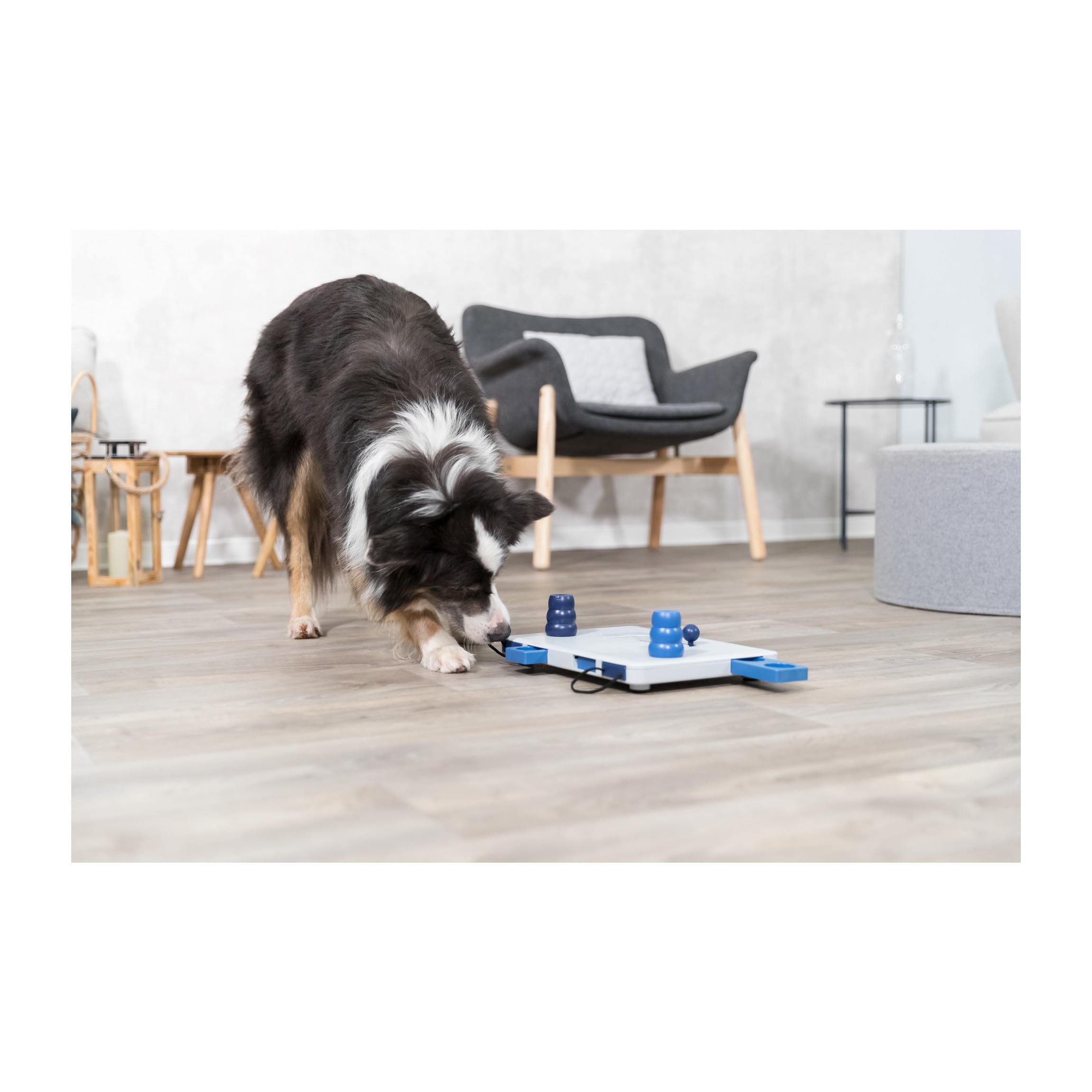 TRIXIE Move-2-Win, Level 3, blue and white (32025)