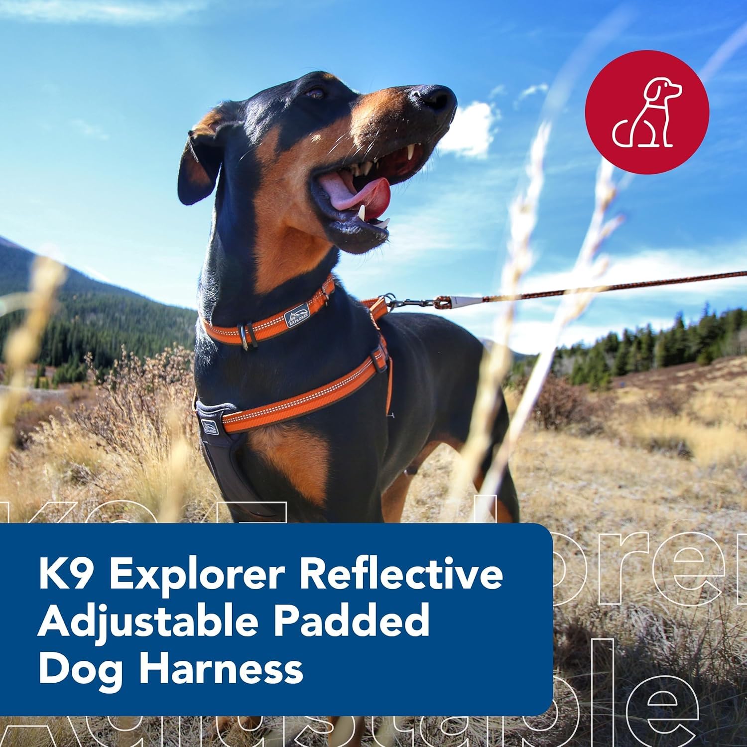 Coastal Pet K9 Explorer Reflective Adjustable Padded Dog Harness - Plush Chest Pad for Comfort - No-Pull Dog Harness for Small a