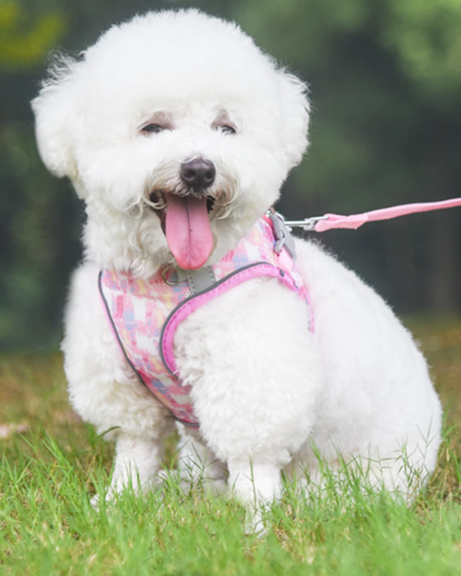 Aecllcea No Pull Dog Harness & Leash Set - Small/Medium, Pink, Xs