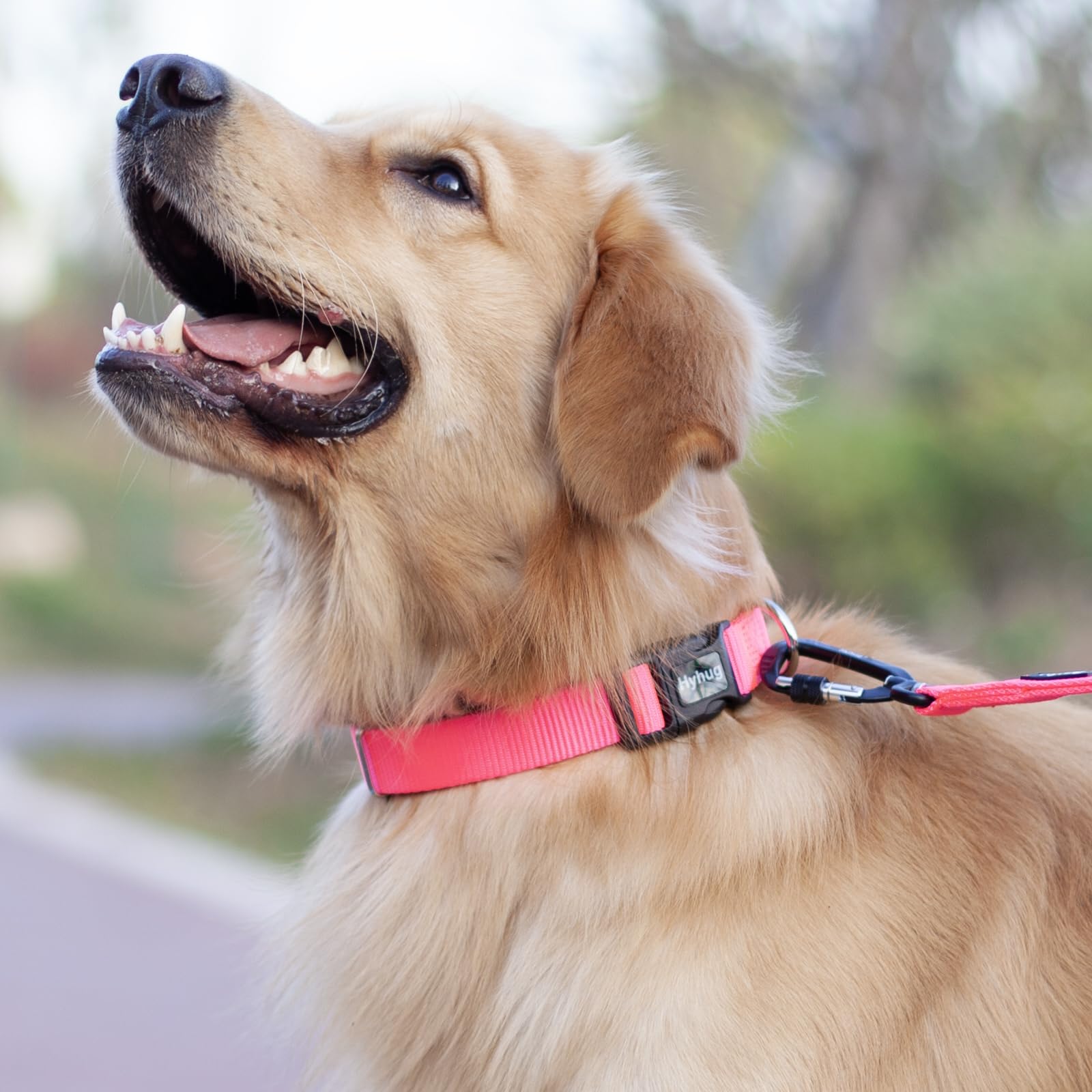 Hyhug Dog Collar With Quick Release Buckle, Nylon Adjustable Durable Cute Pet Collars For Medium Dogs, Boy And Girl(Candy Pink,