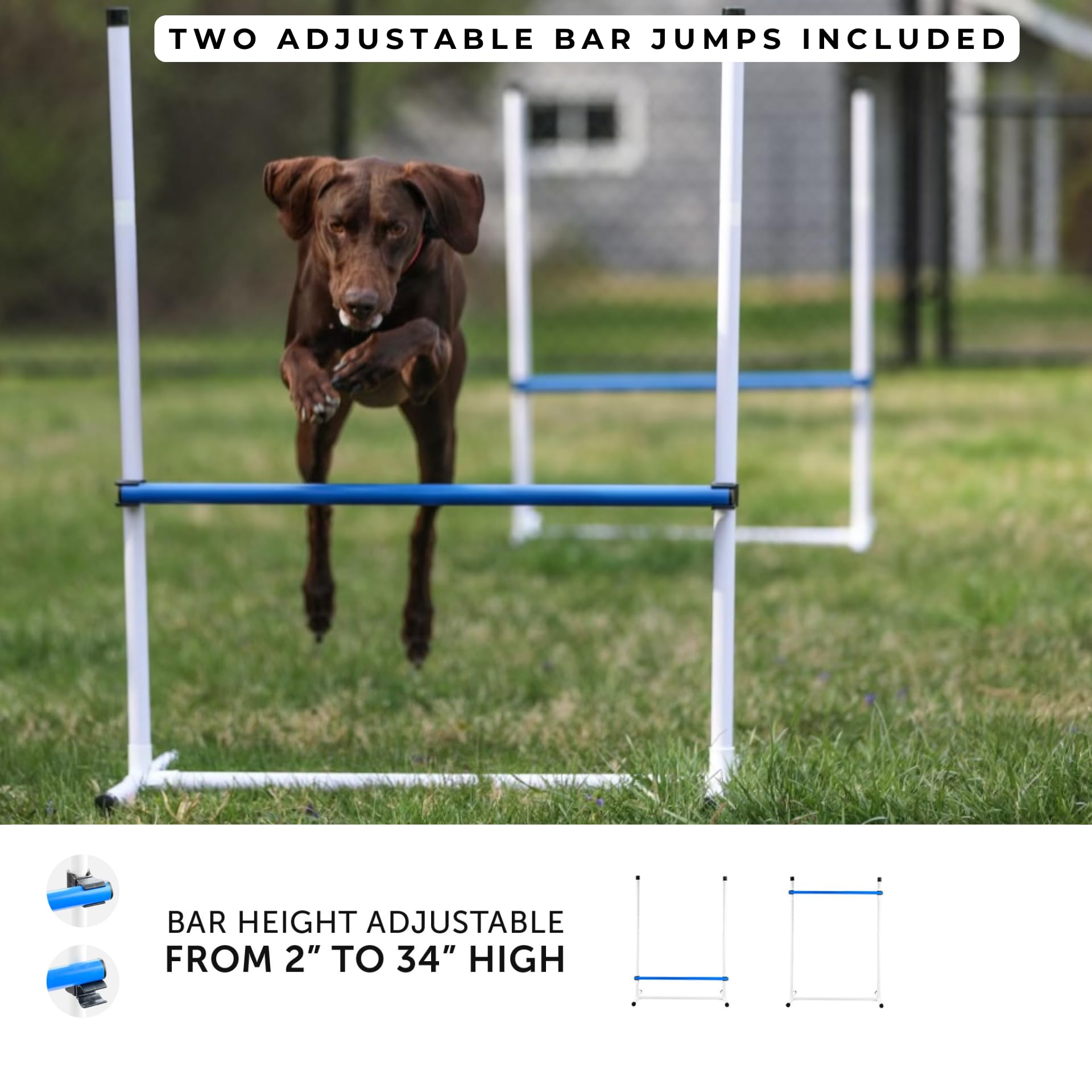 Better Sporting Dogs Agility Course Backyard Set - 7pc Indoor and Outdoor Agility Training Equipment for Dogs - 3 Jumps - 2 Tunn