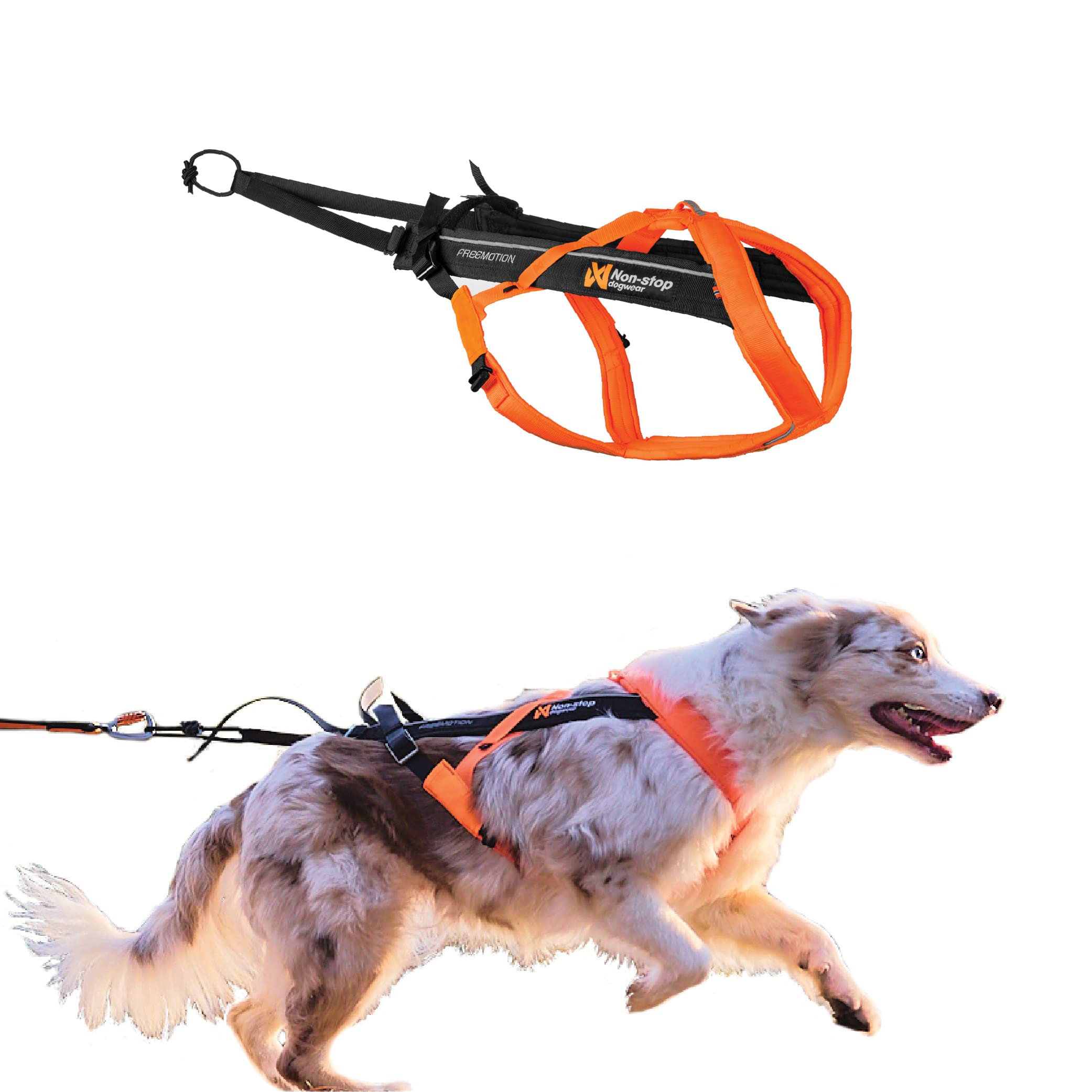 Non-Stop Dogwear Freemotion Harness 5.0 Dog Pulling Harness For Sports Like Running, Biking And Skiing With Dogs, Professional Adjustable Dog Harness, Orange/Black, Size 6