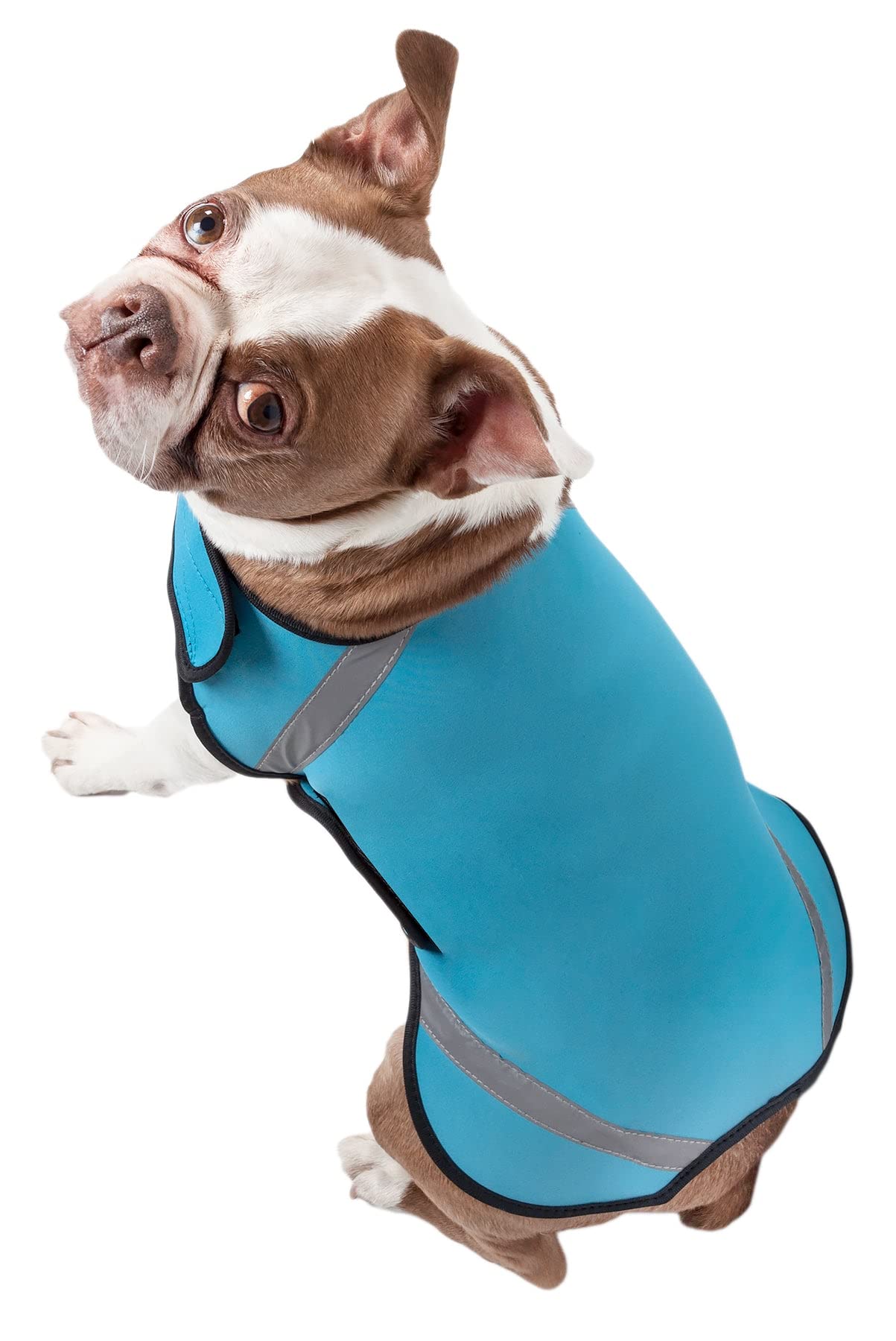 Extreme Neoprene Multi-Purpose Protective Shell Dog Coat(D0102H7LBEY.)