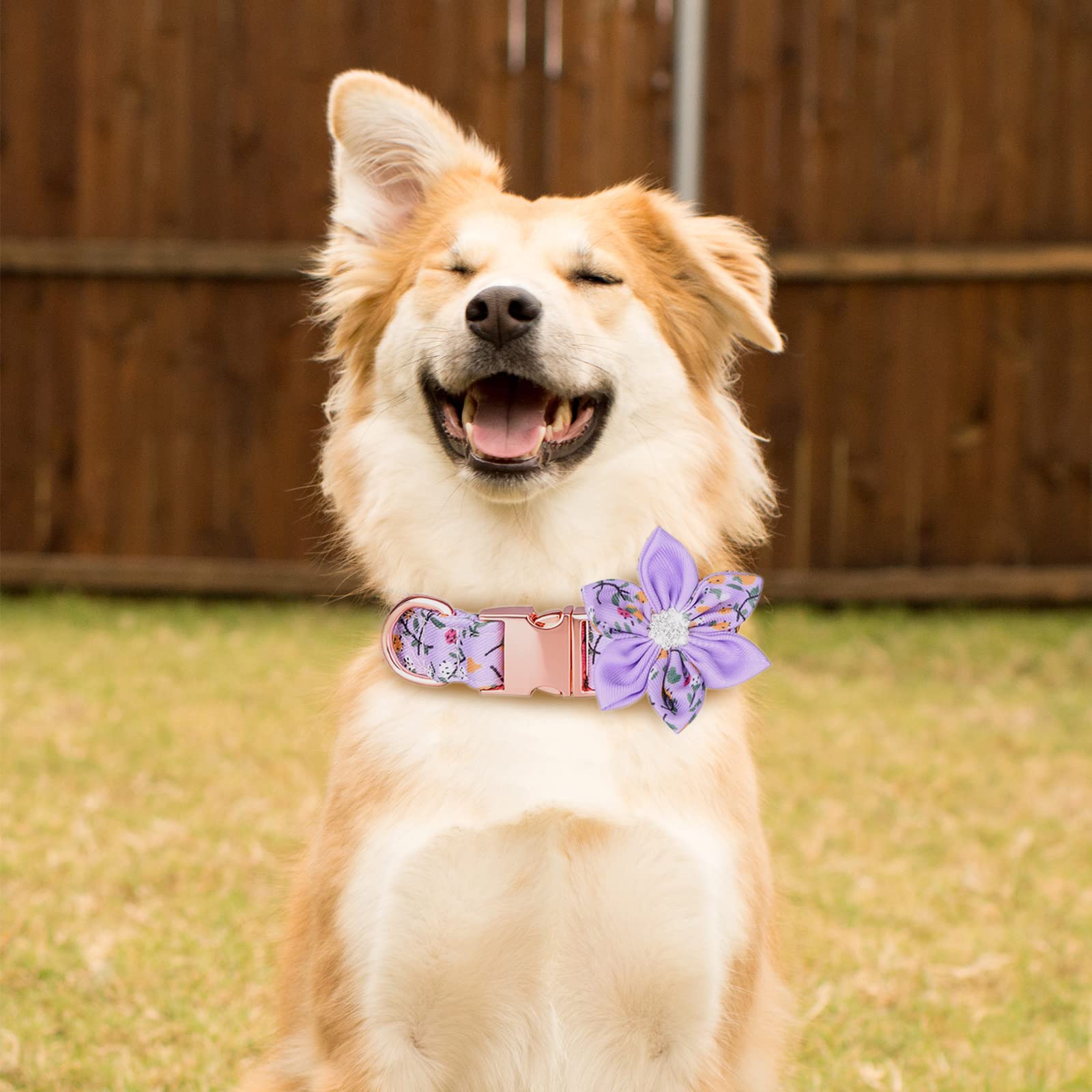 Tdtok Girl Dog Collar With Detachable Flower, Safety Metal Buckle Floral Pattern Soft Comfy Cotton Pet Collars For Small Medium