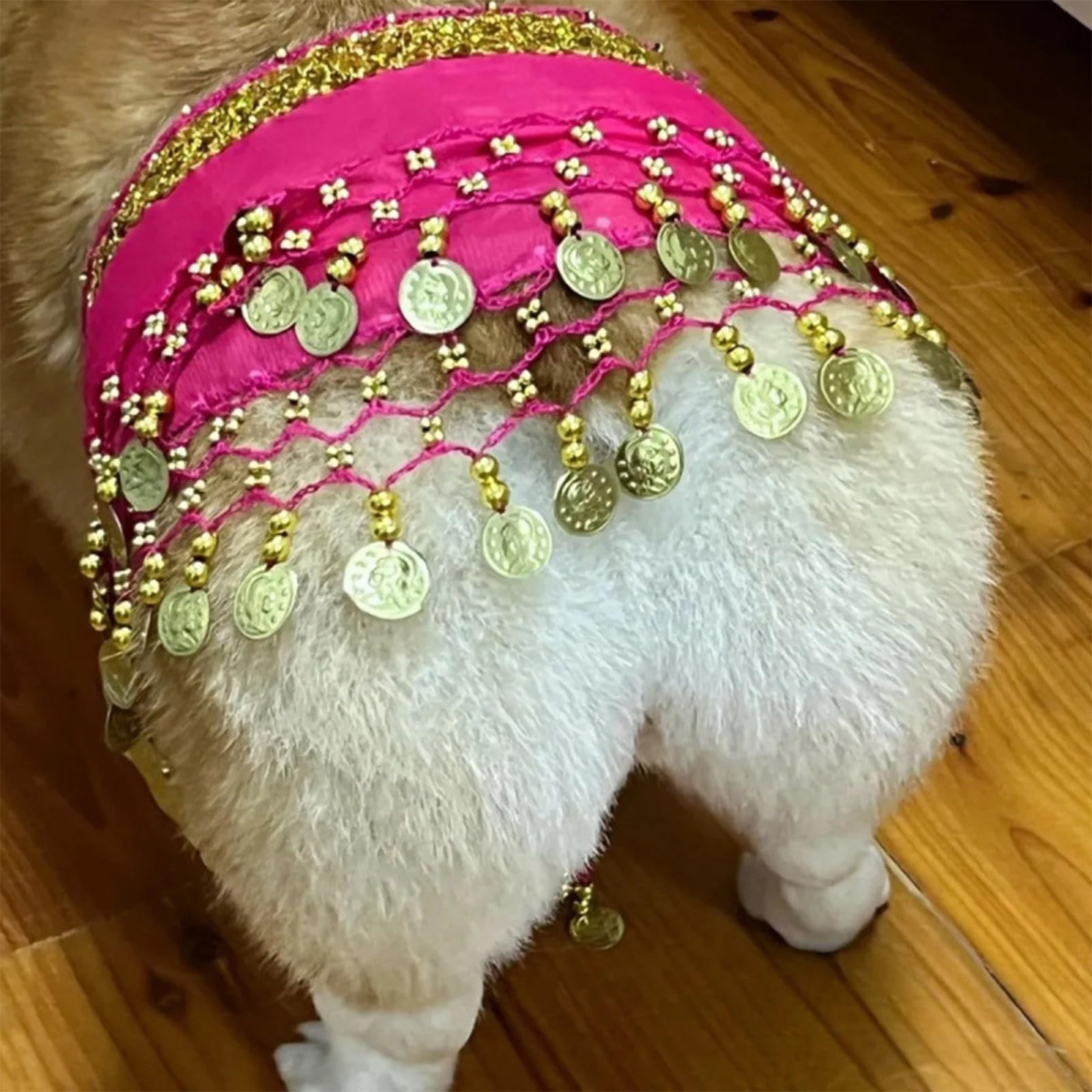 Agloo Funny Dog Belly Dancer Costume - Shaking Hip Outfit With Sequin Butt Clothes,Scarf For Pet Cosplay Parties (Pink)