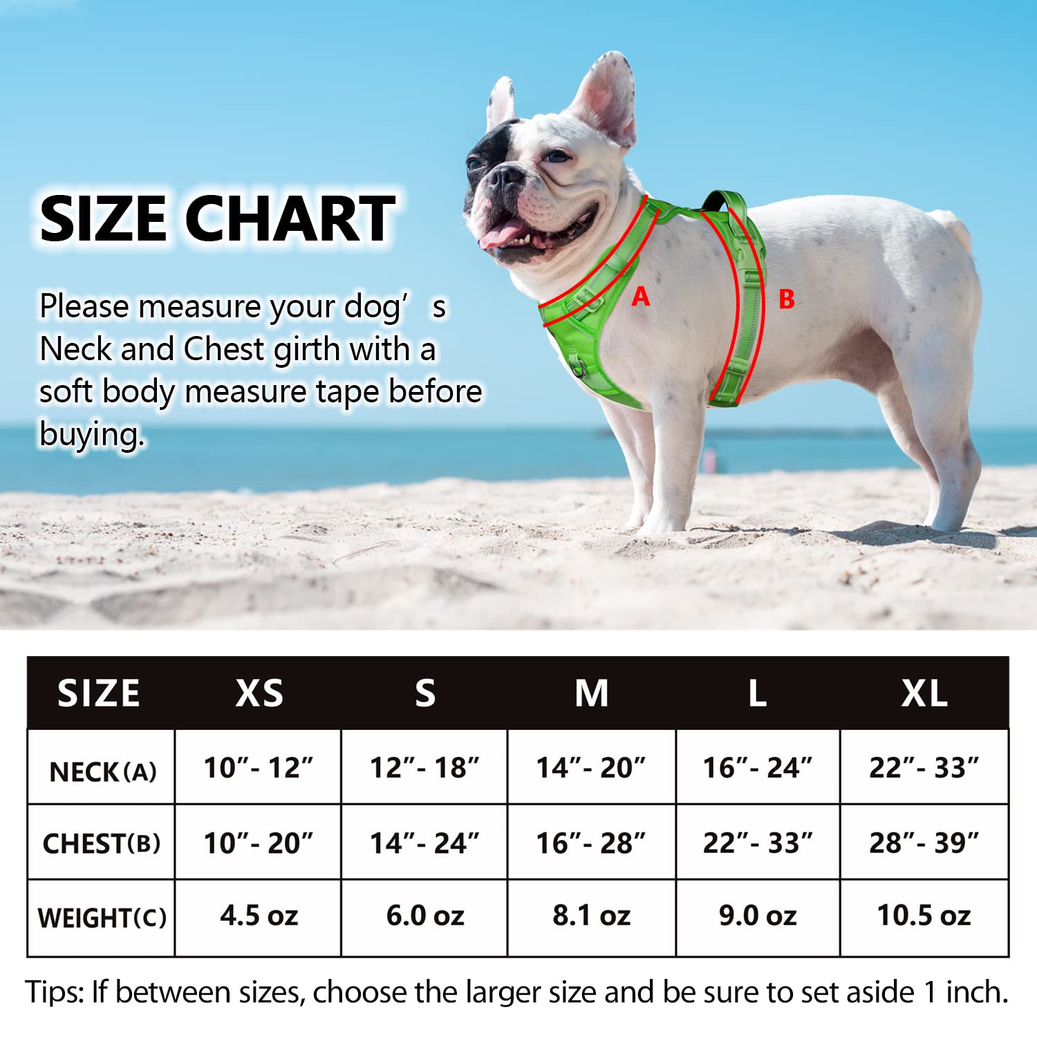 Poypet No Pull Dog Harness, No Choke Reflective Dog Vest, Adjustable Pet Harnesses With 2 Leash Attachments With Easy Control Padded Handle For Small Medium Large Dogs(Green Matching Trim,S)