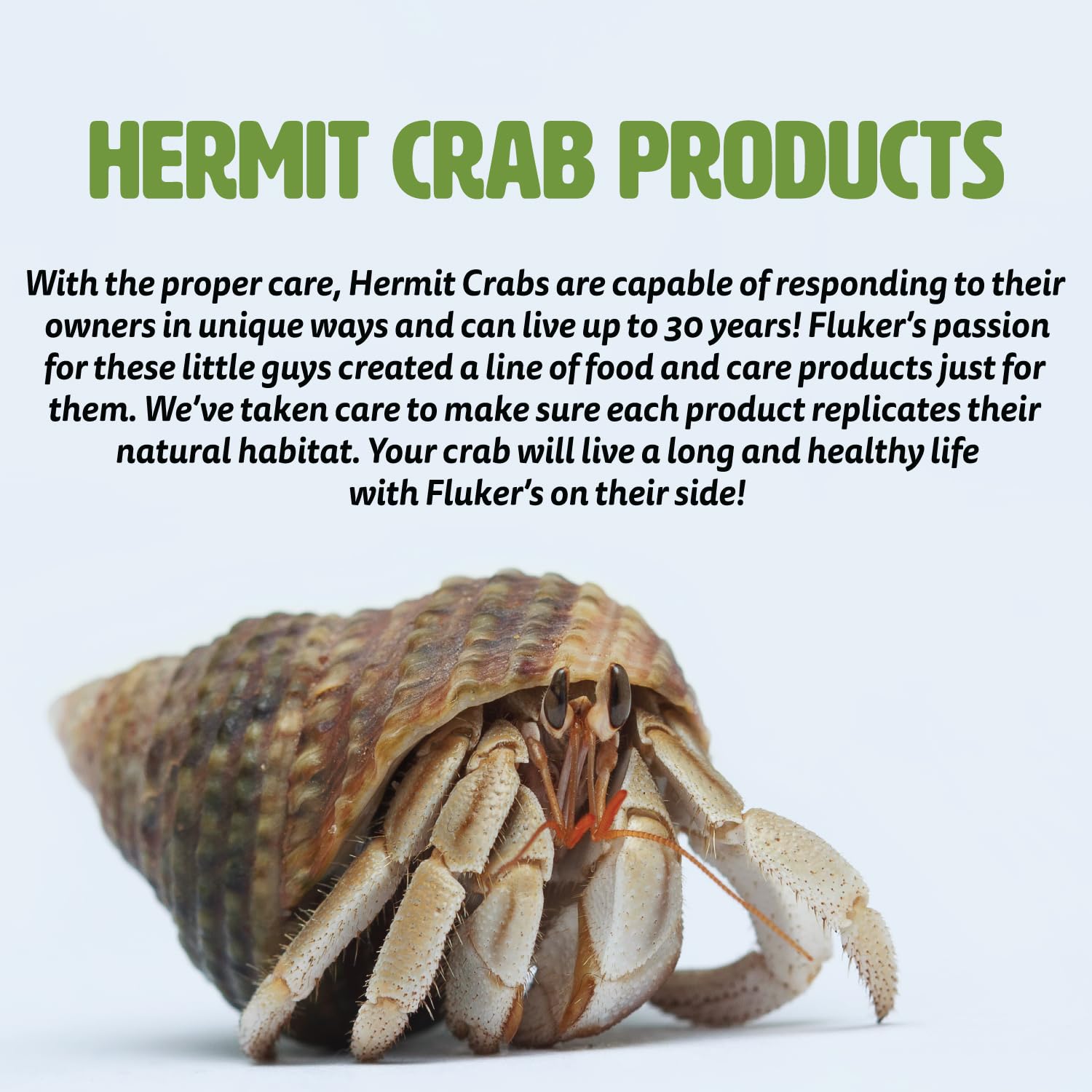 Fluker'S Live Moss For Hermit Crabs, 0.5-Ounce Each (3 Pack)