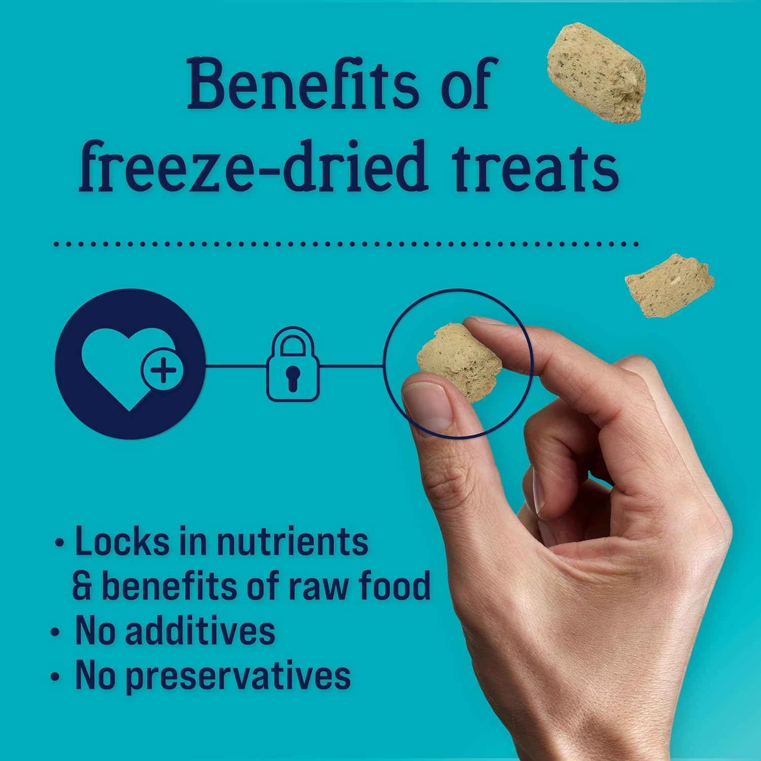 Stewart Freeze Dried Dog Treats, Chicken & Vegetable, Immunity Treats, Vitamin E, Grain Free, 4 Ounce Resealable Pouch, Made in