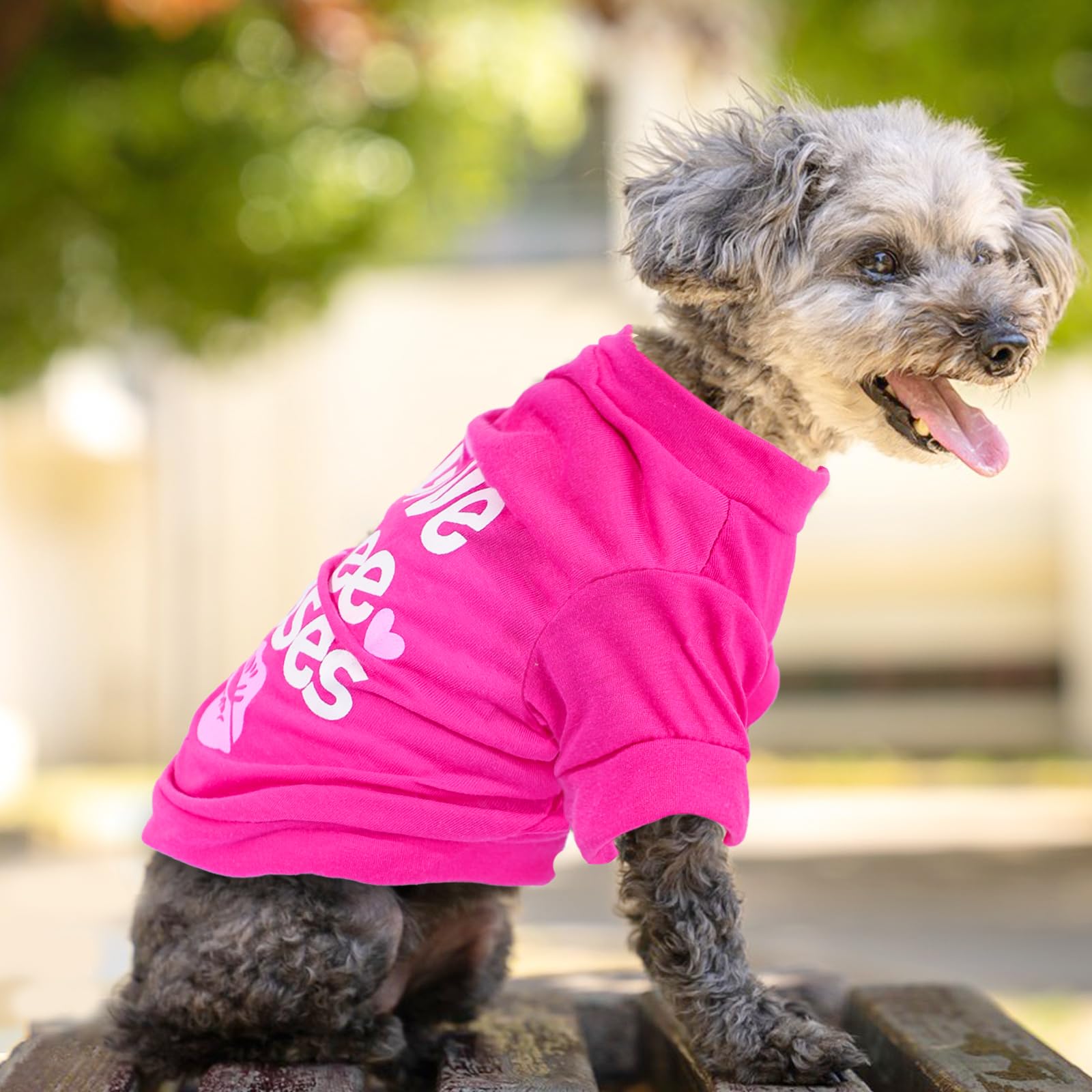 4 Pieces Dog Shirts Summer Dog Clothes Cute Soft Breathable Outfit Pet T-Shirt Puppy Clothes For Small Dogs Girl And Cat (X-Smal