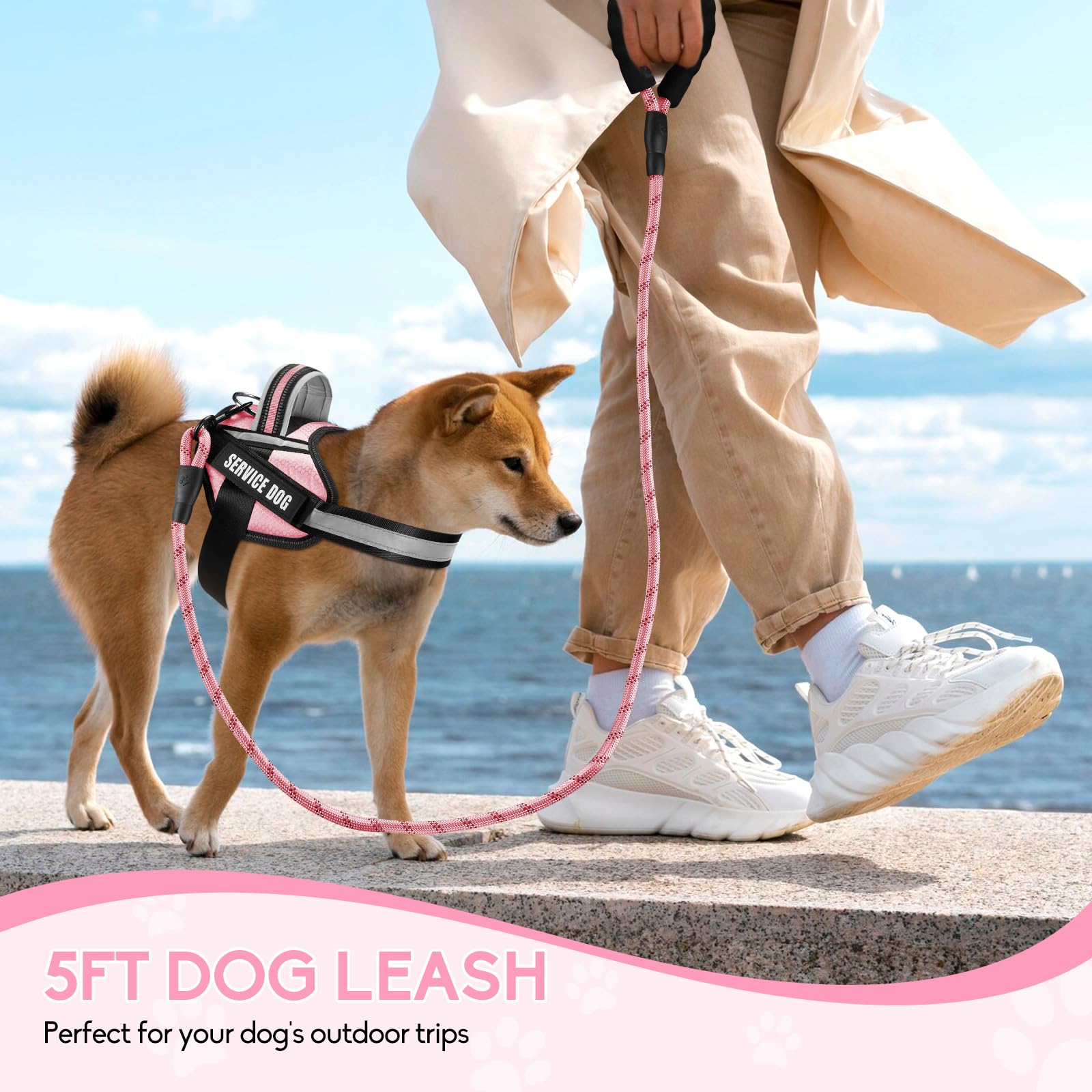 Service Dog Vest Harness And Leash Set, Animire In Training Harness With 8 Dog Patches, Reflective Leash With Soft Padded Handle For Small, Medium, Large, And Extra-Large Dogs(Pink,L)