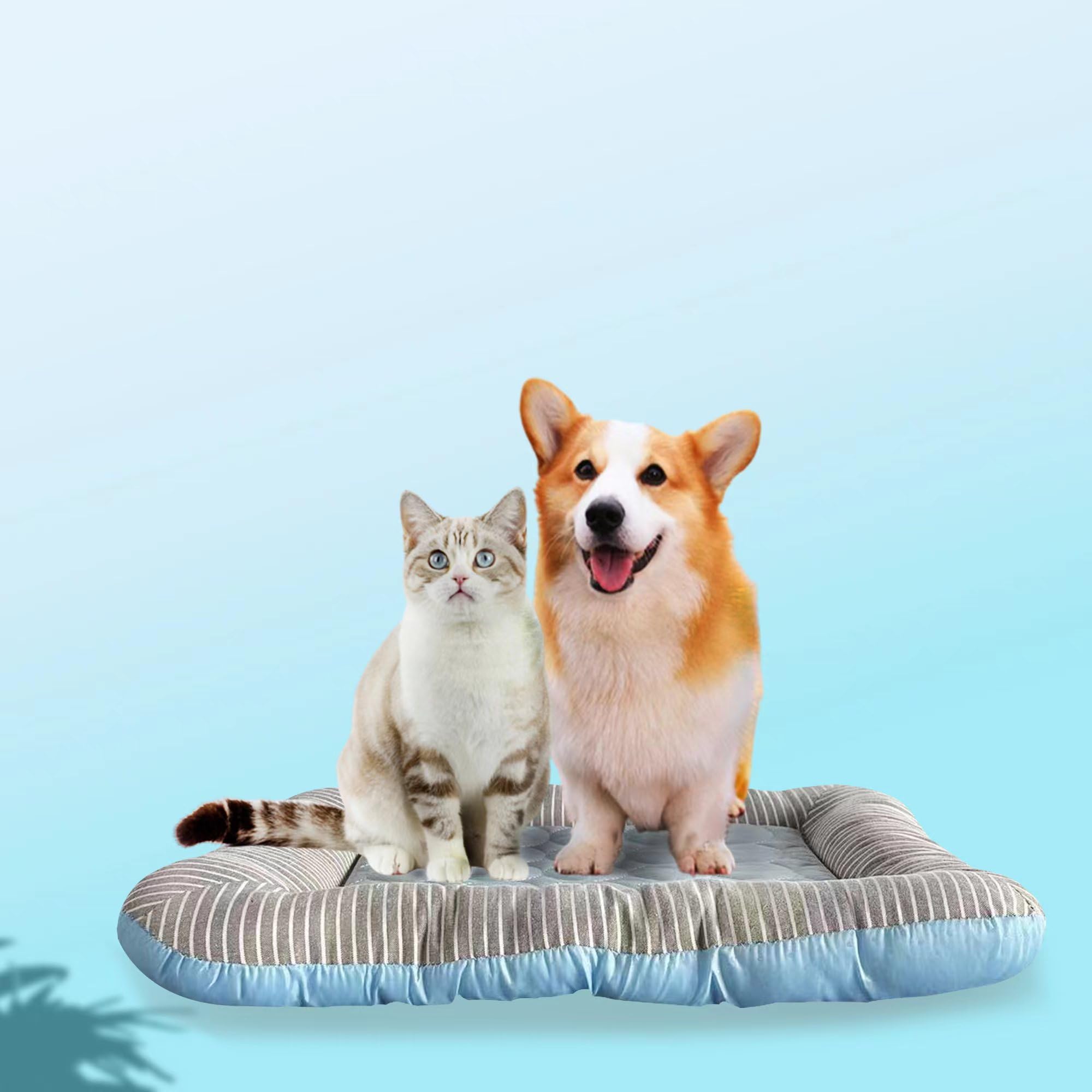 Rpgt Summer Pet Self Cooling Mat No Electricity Required Kennel Bed Pad 18''X 22'' Sleeping Mat Keeps Dogs And Cats Cool Ideal F