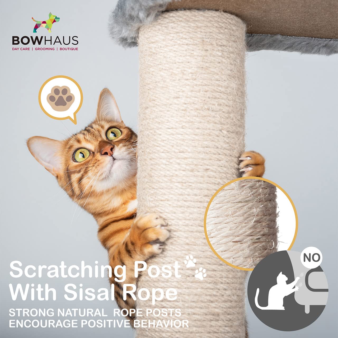 Bowhaus Tall Cat Tree For Indoor Large Cats Or Kittens, Multi-Level Cat Activity Tree With Scratching Posts, Hammock, Cat Cave Condo, Modern Cute Small Cat Climbing Tower With Widened Perch