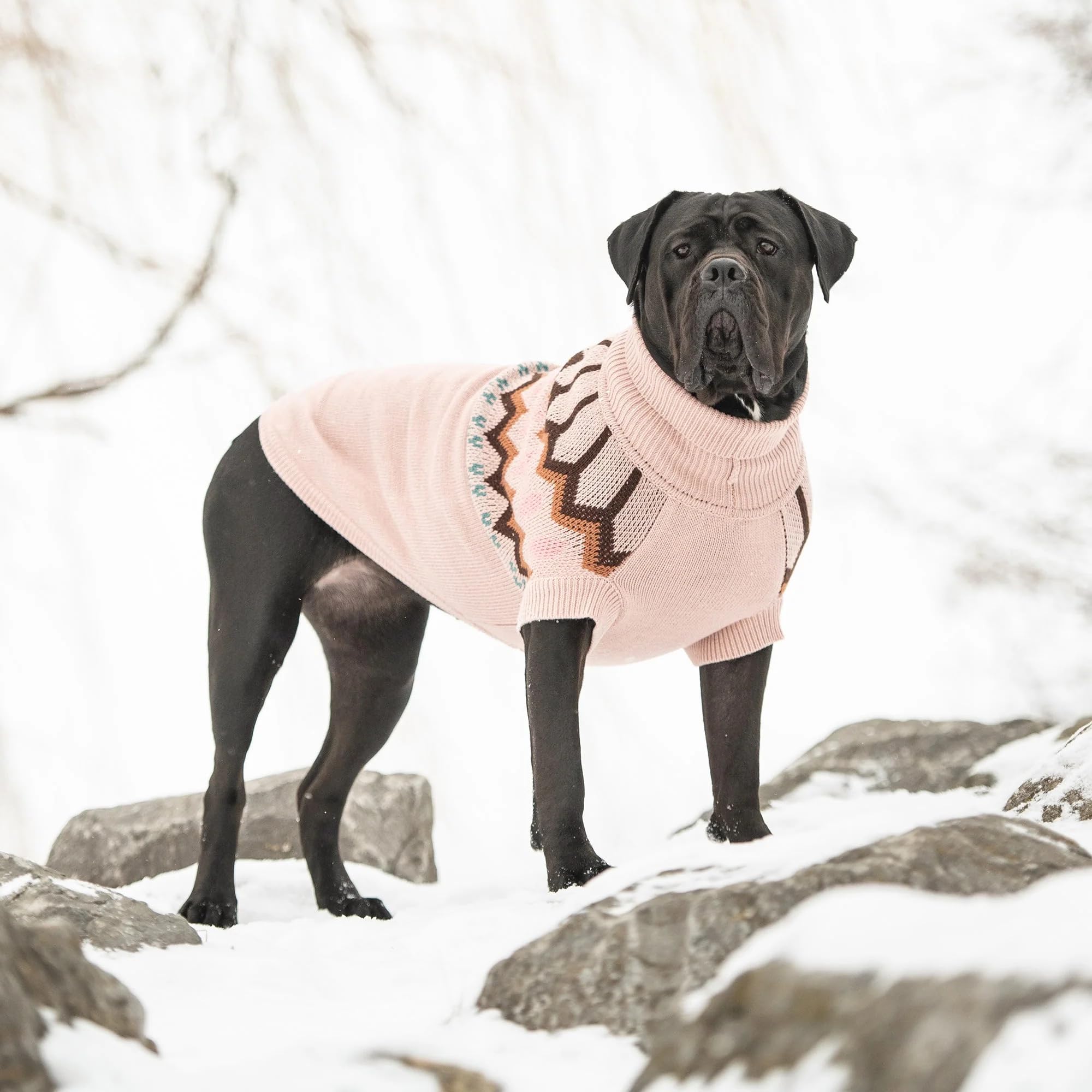 Gf Pet Heritage Sweater Dog Pullover ?Classic Ribbed Knit Sweater For Dogs | Soft & Warm Acrylic | Timeless Design | Small, Medium, Large Pets ?Pink, S