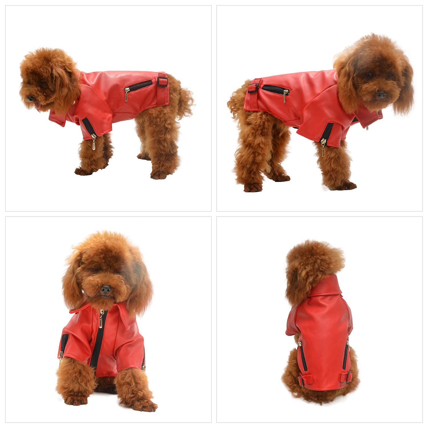 Lovelonglong Cool Dog Leather Jacket, Warm Coats Dogs Windproof Cold Weather Coats For Large Medium Small Dogs, Boston Terrier C