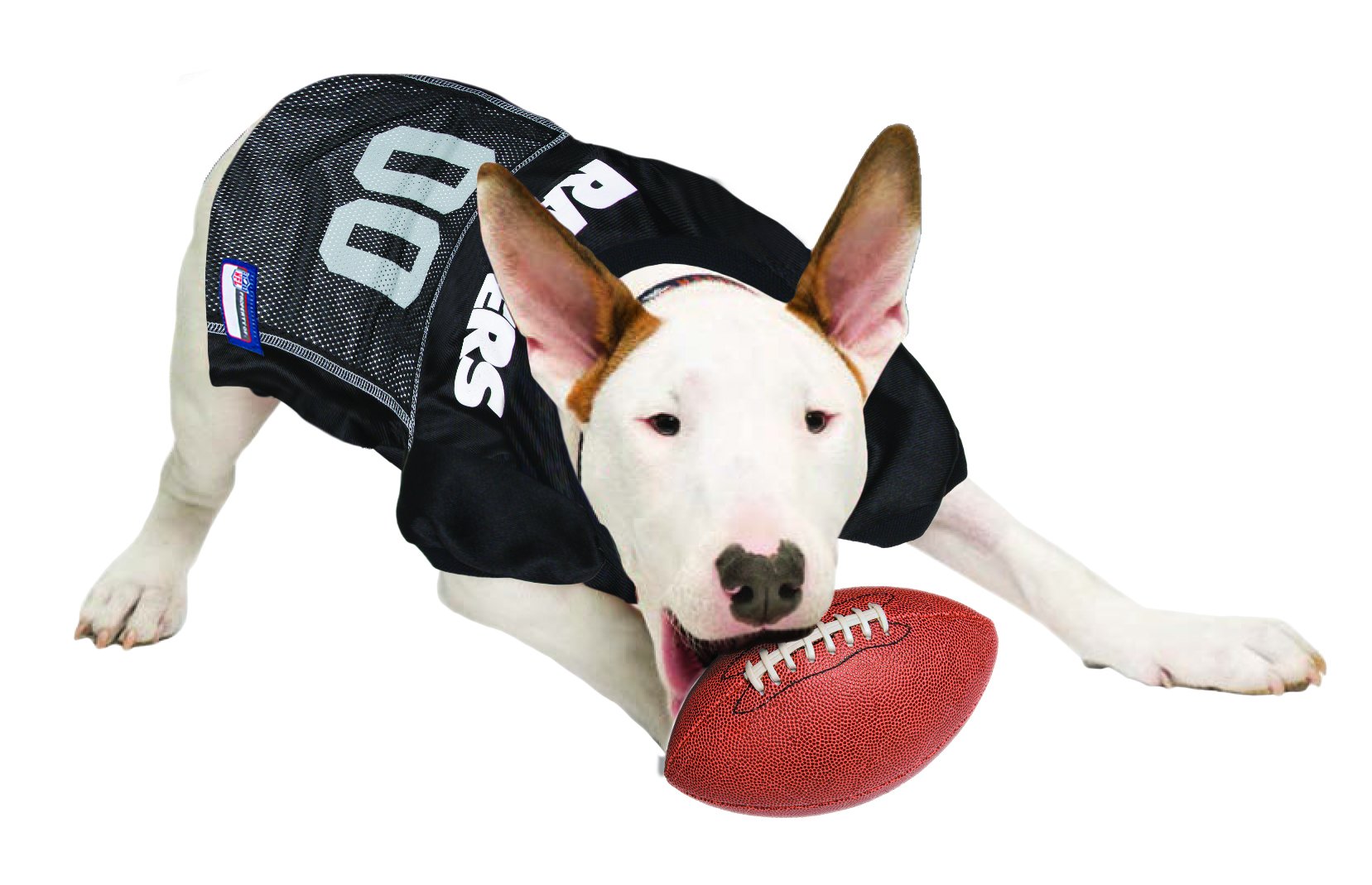 Nfl Raiders Dog Jersey, Size: X-Large. Best Football Jersey Costume For Dogs & Cats. Licensed Jersey Shirt