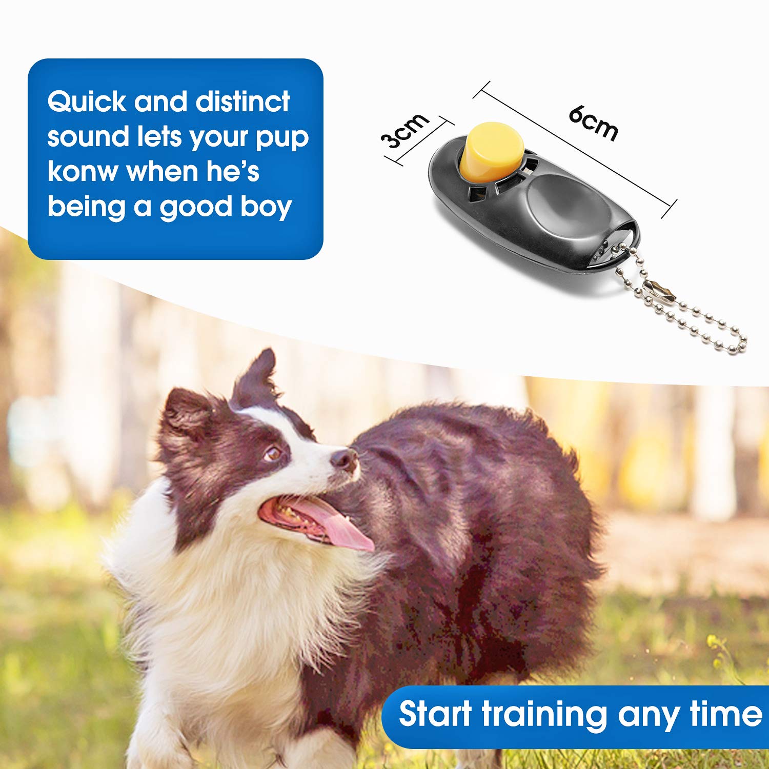 Baapet 15/20/30/50/100 Ft Long Dog Training Leash With Clickers For Small, Medium And Large Dogs Or Cats (30 Feet, Black)