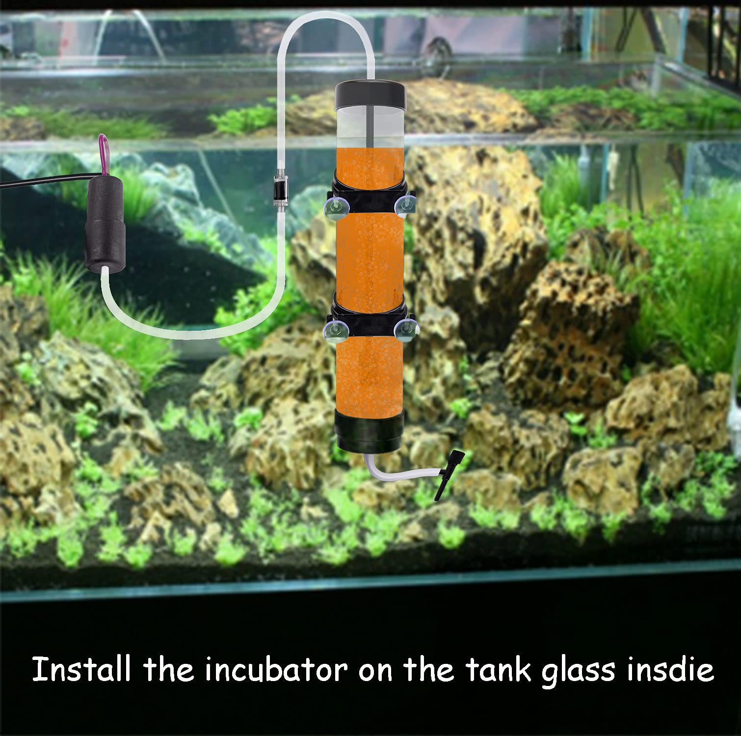 Nestbasics Brine Shrimp Hatchery Kits Brine Shrimp Eggs Incubator Hatchery Brine Shrimp Eggs Incubator Artemia Hatchery Kit Machine