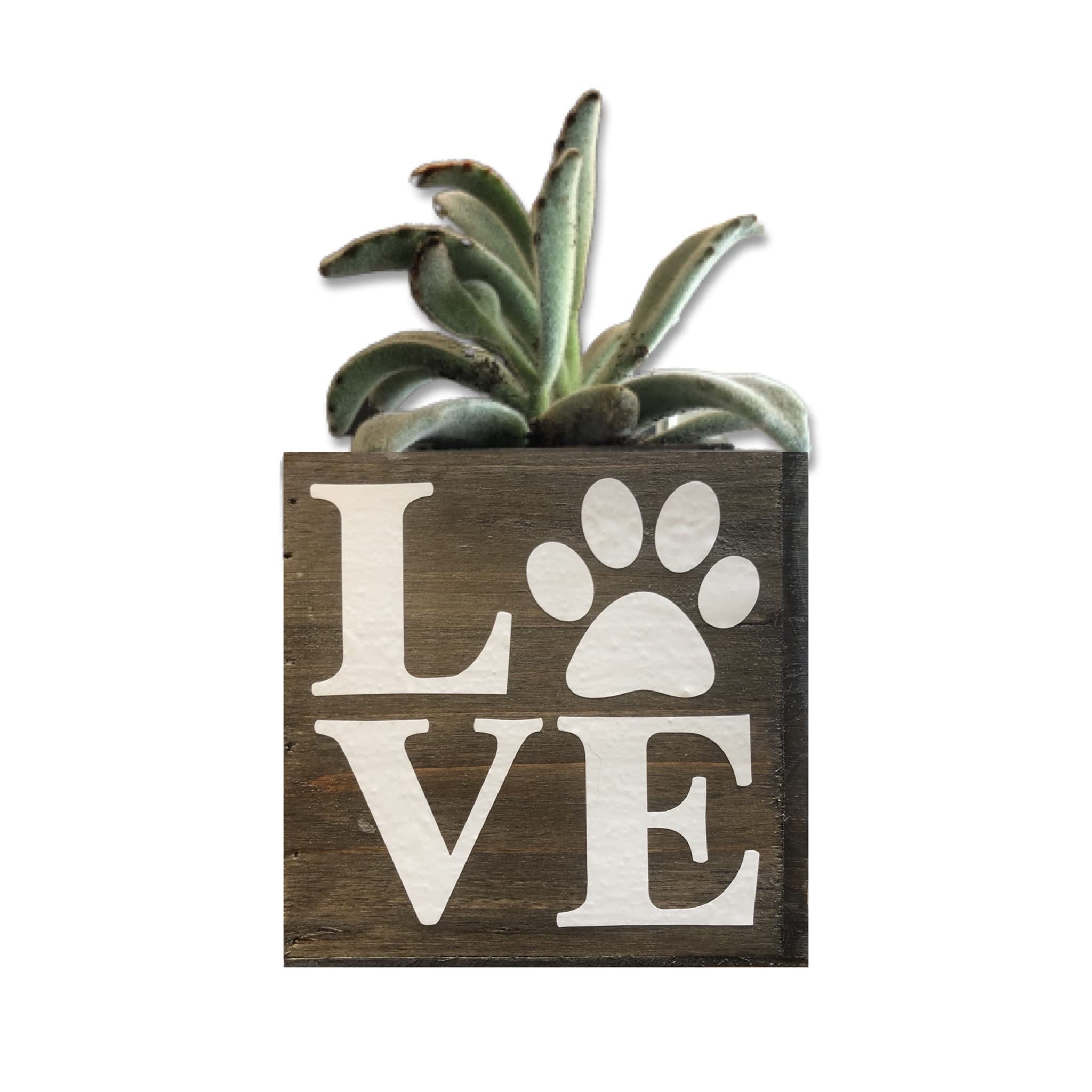 Paw Love Succulent Planter, Cute Gift For Cat And Dog Lovers, Veterinarian, Decorative Bin (4 Square Inches, Natural Brown Wood)