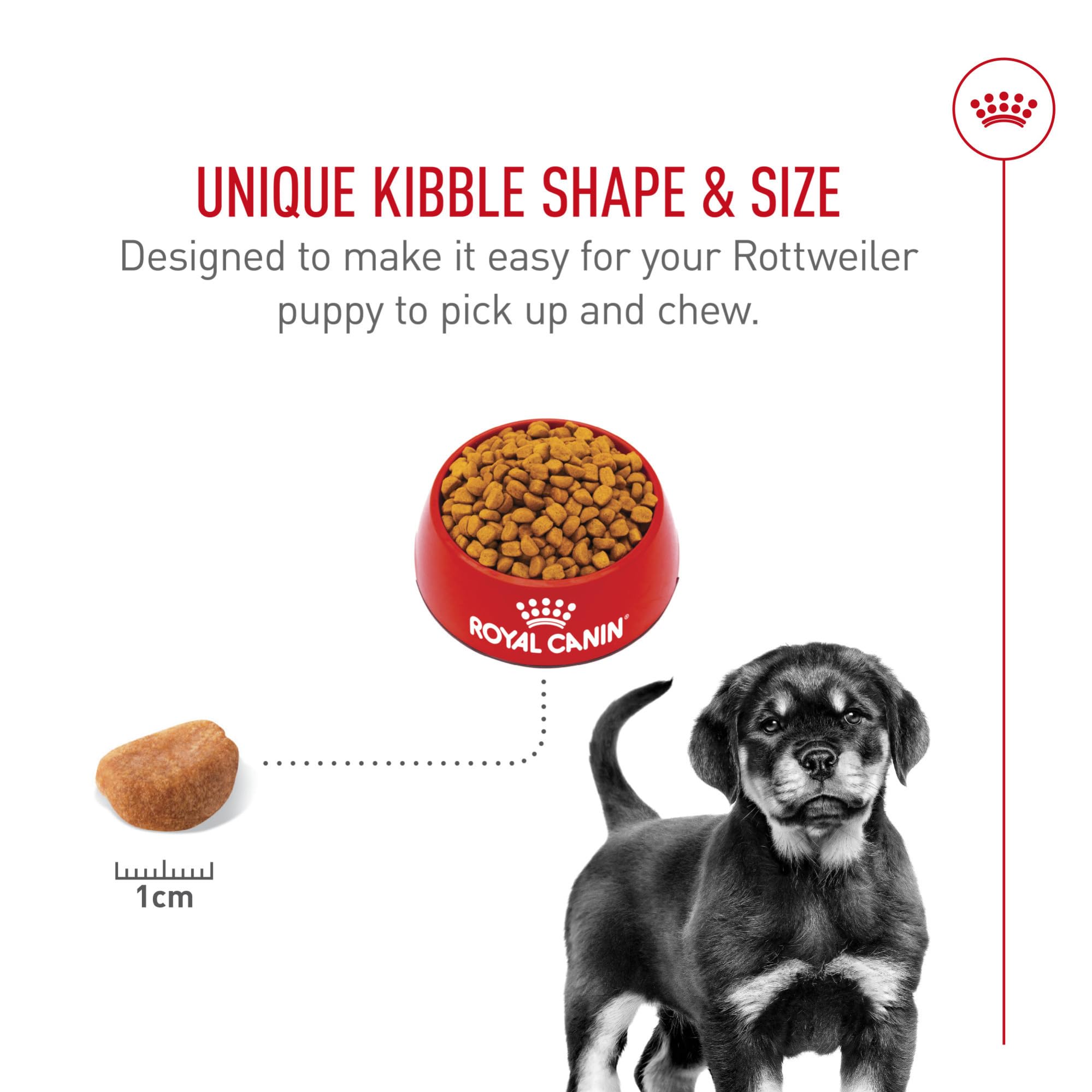 Royal Canin Breed Health Nutrition Rottweiler Puppy Dry Dog Food, 30 lb Bag