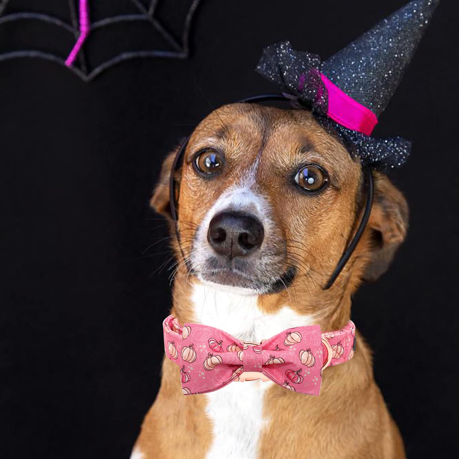 Elegant Little Tail Dog Collar With Bow, Halloween Pumpkin Bowtie Dog Collar, Adjustable Dog Collar Bow Pet Gift Collars For Sma
