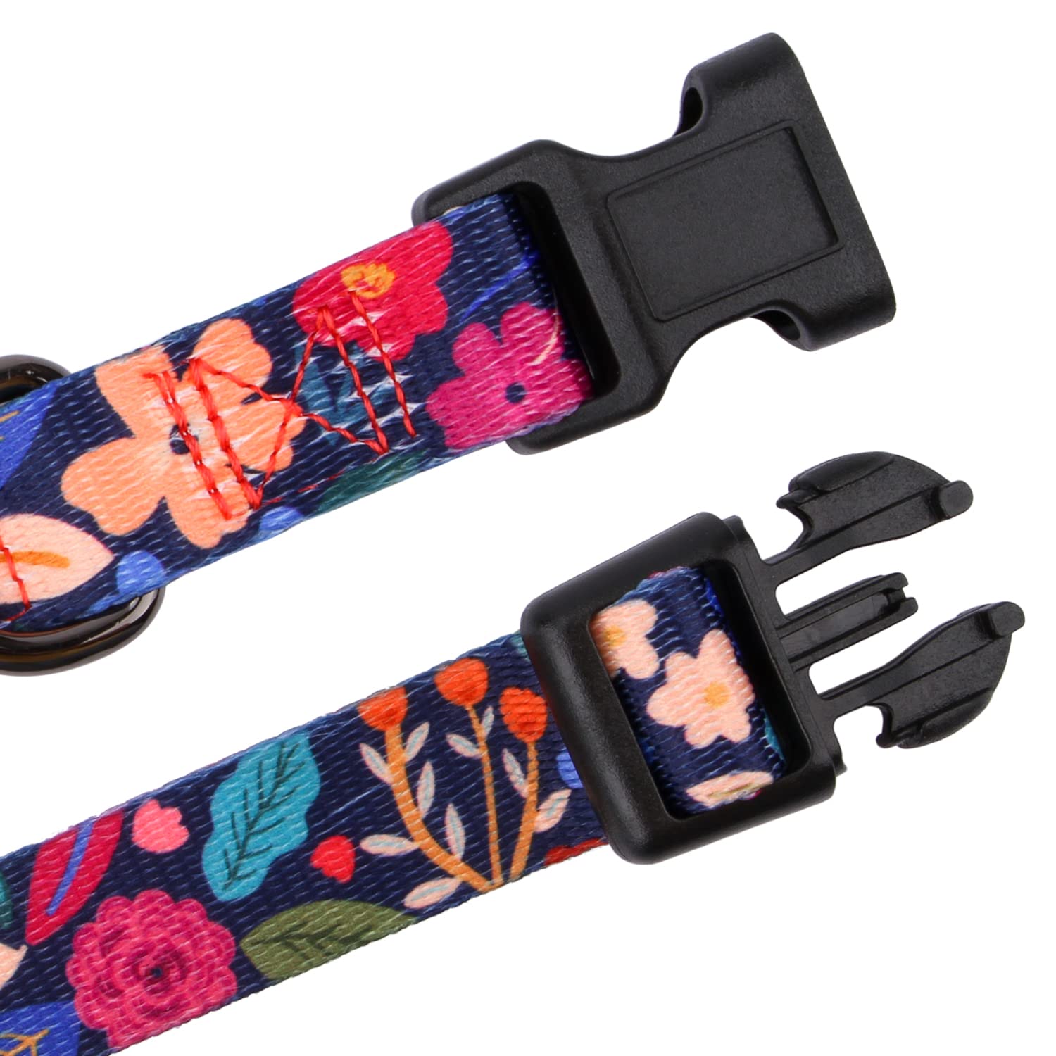 Rhea Rose Dog Collar For Medium Dogs Special Design Cute Floral Plant Pattern Girl Female Pet Collar (Black, M)