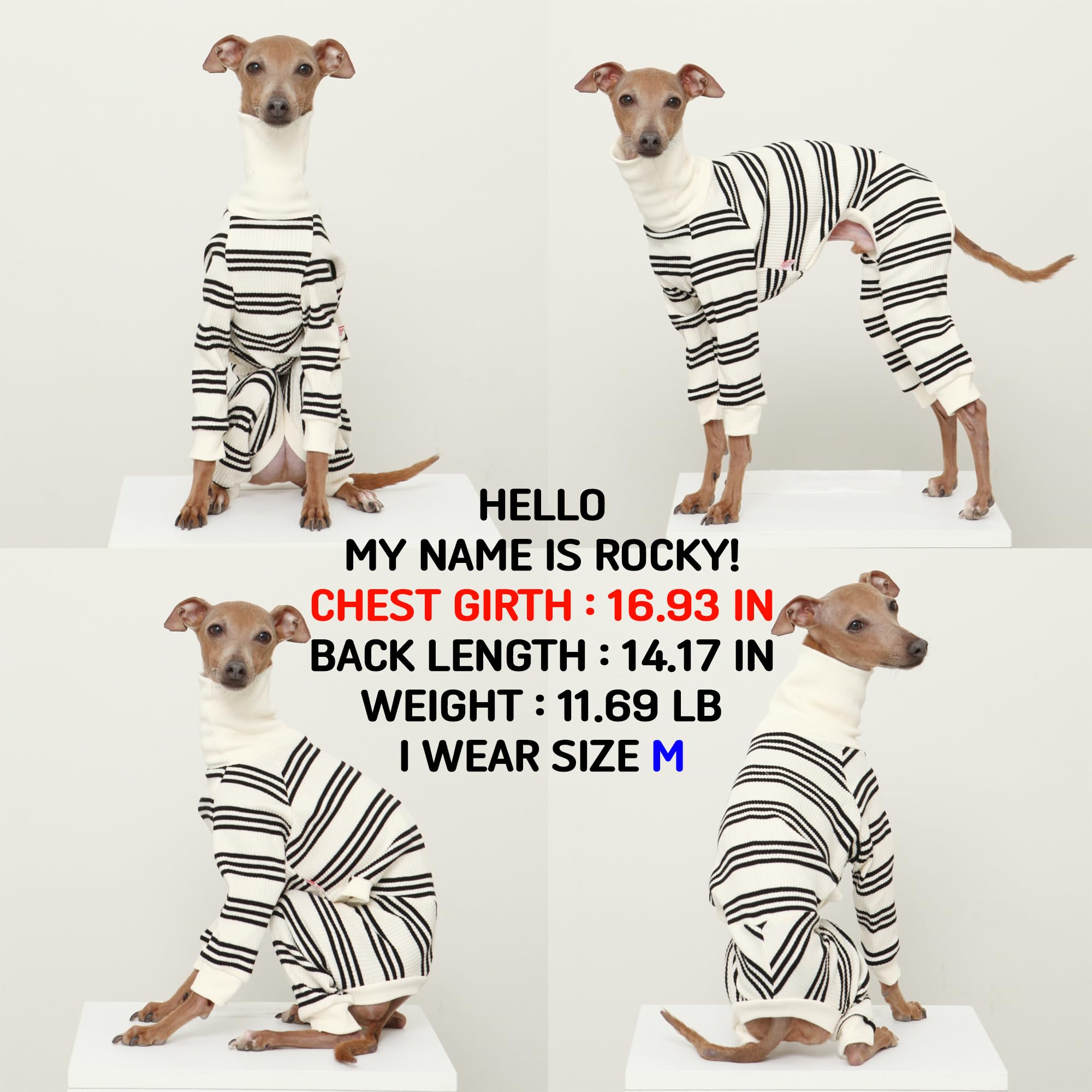 D Doggy Star Italian Greyhound Clothes Soft Stretchy Onesie Refined Stripe Outfit Whippet For Dog Coat (Xl,Onsi Black Str)